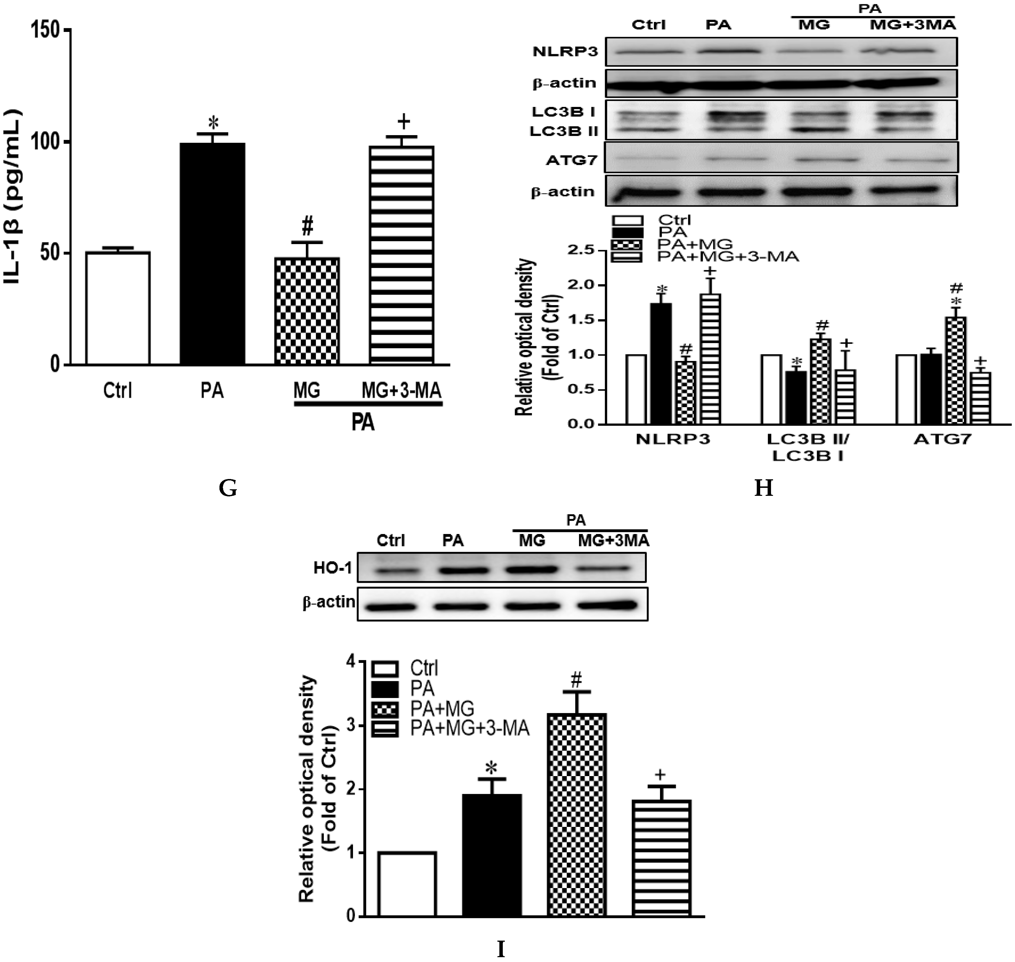 Antioxidants 09 00924 g007b