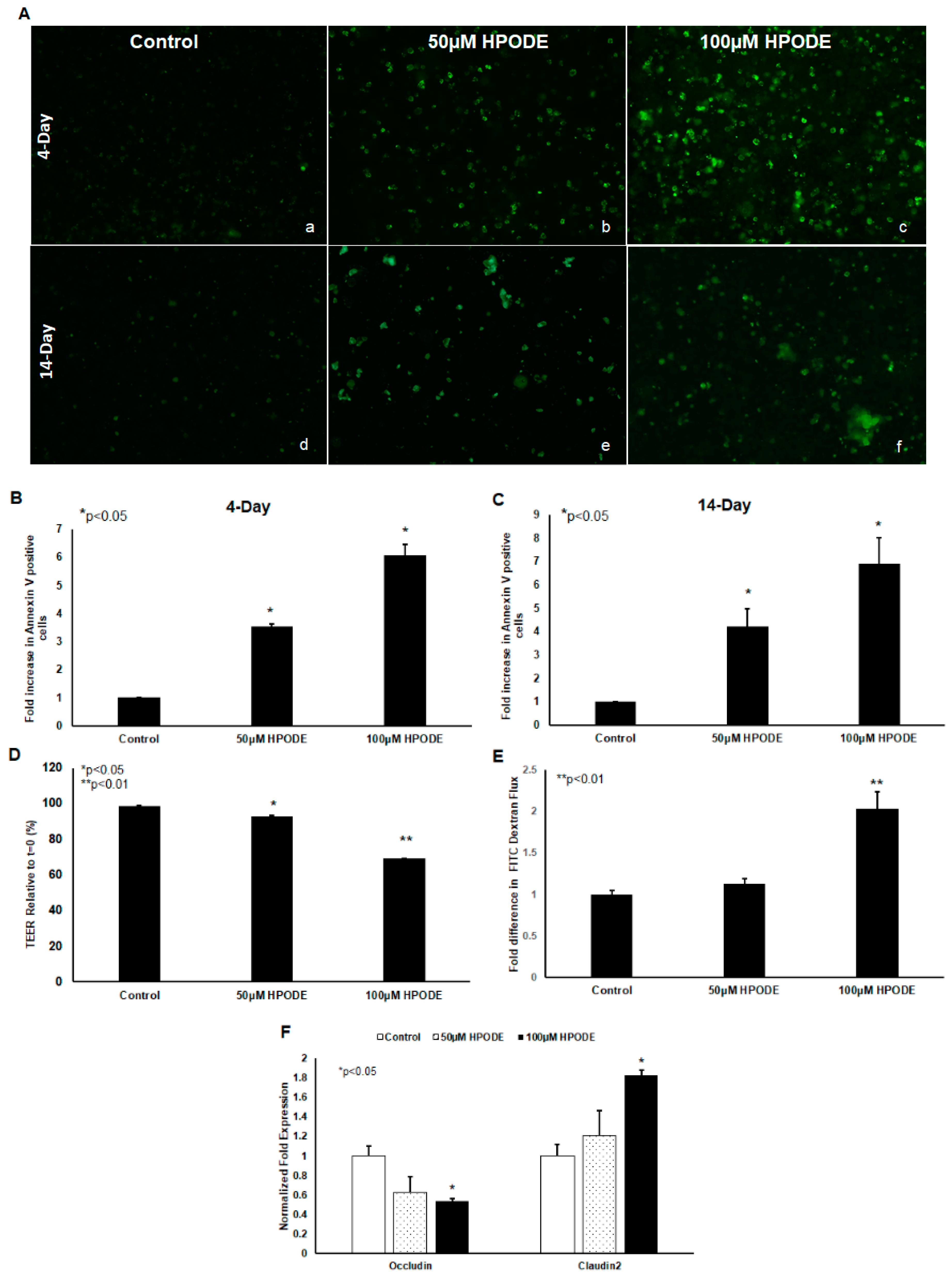 Antioxidants 09 00926 g002