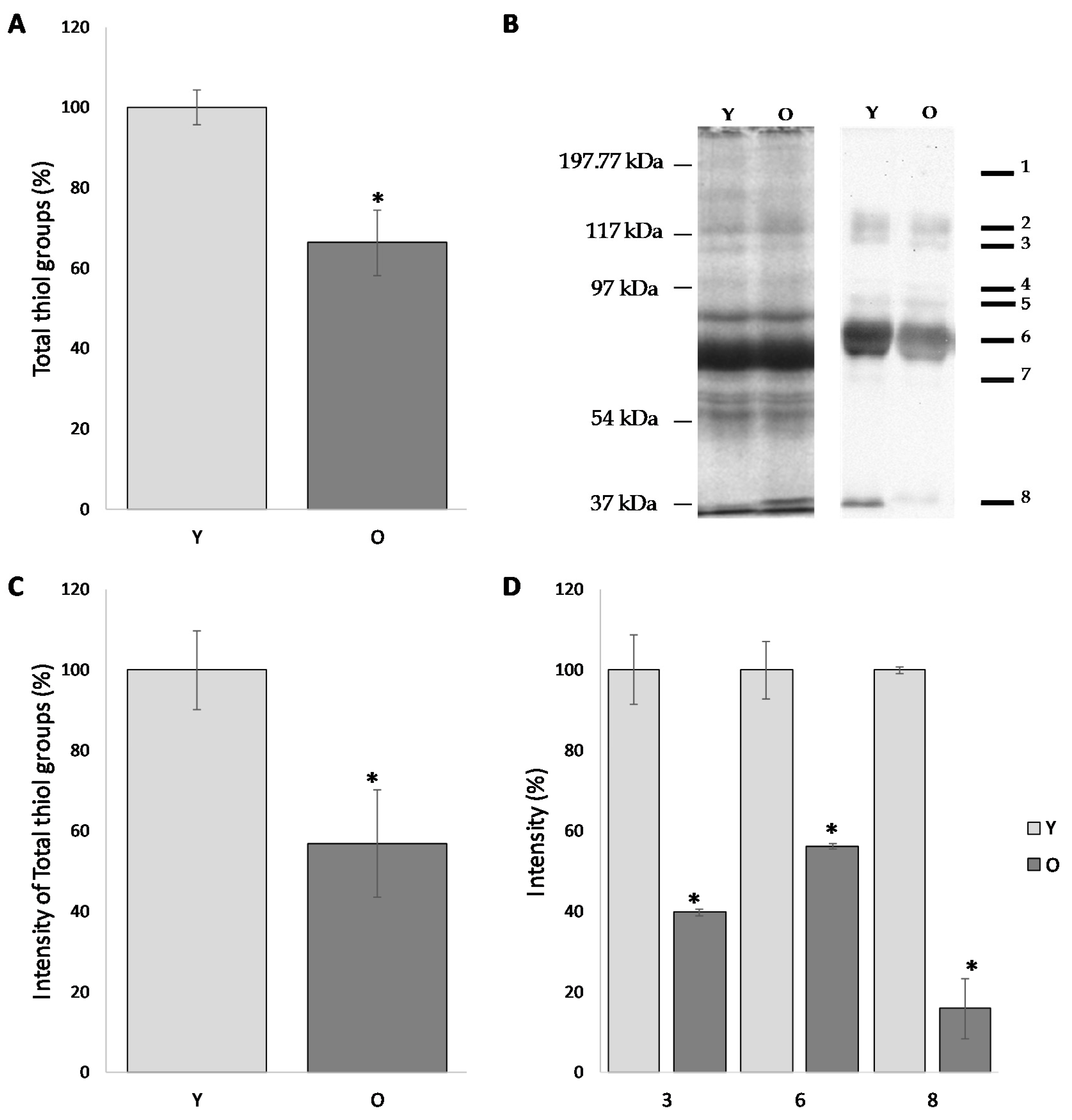 Antioxidants 09 00927 g002