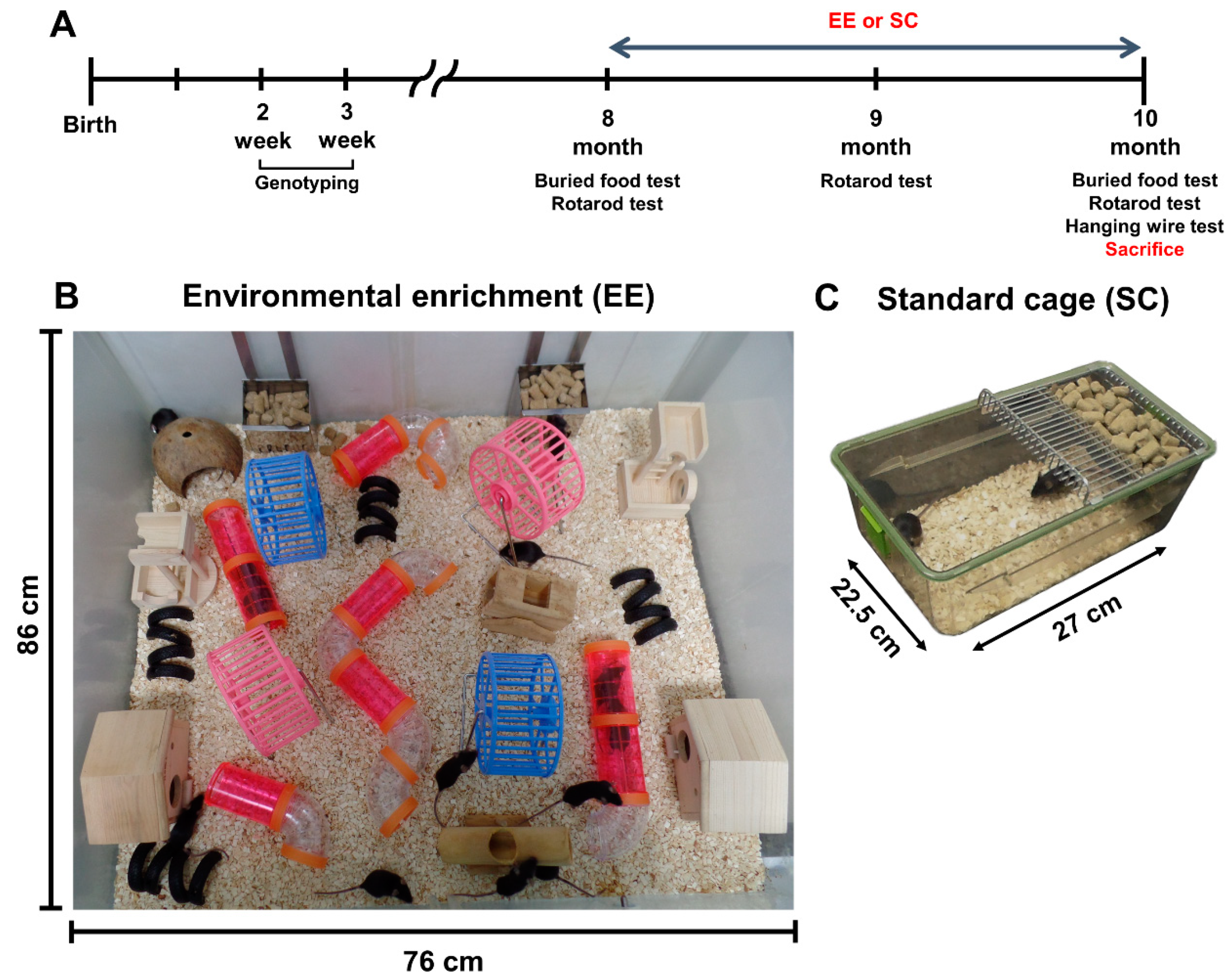 Antioxidants 09 00928 g001