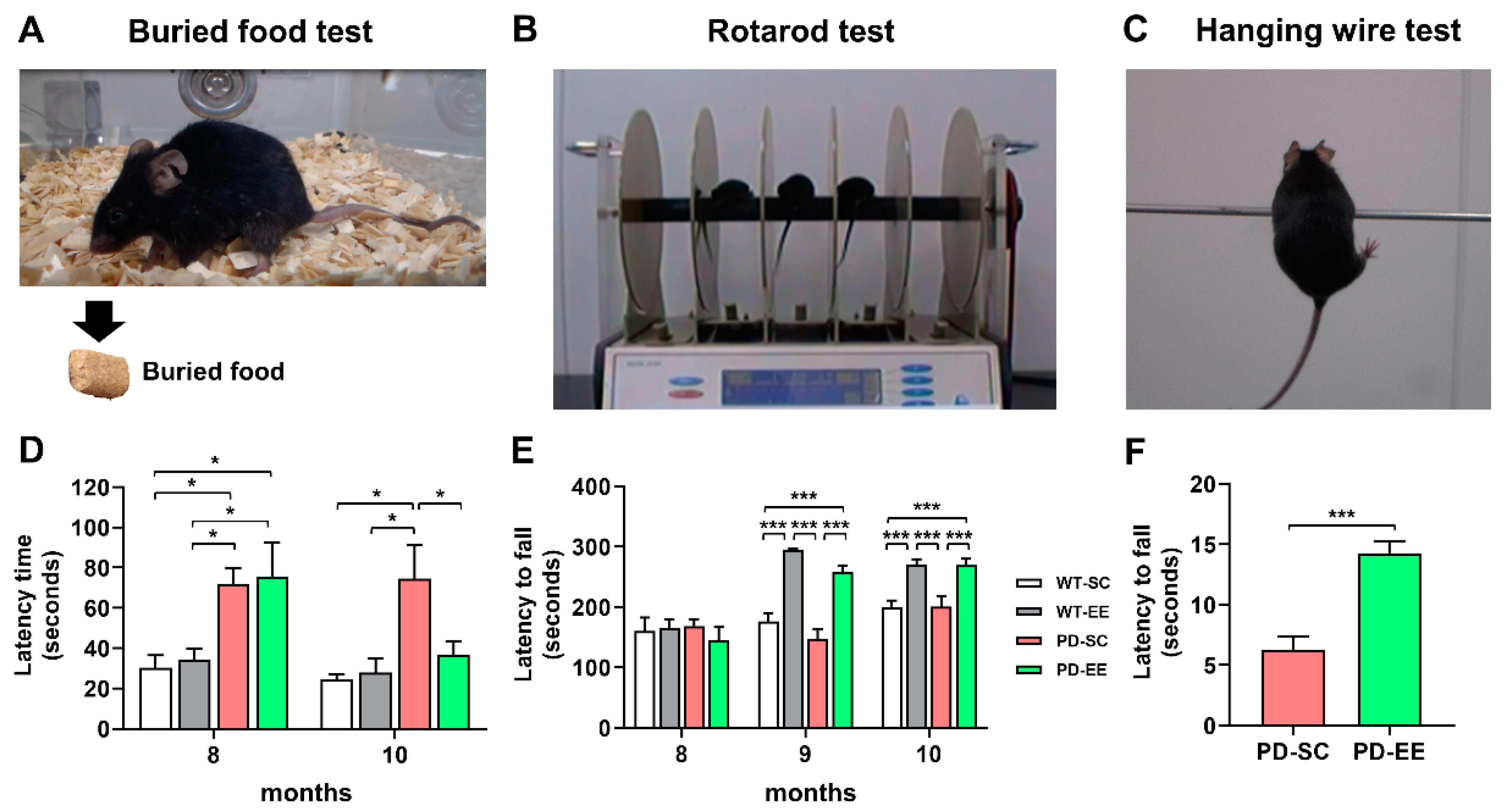 Antioxidants 09 00928 g002