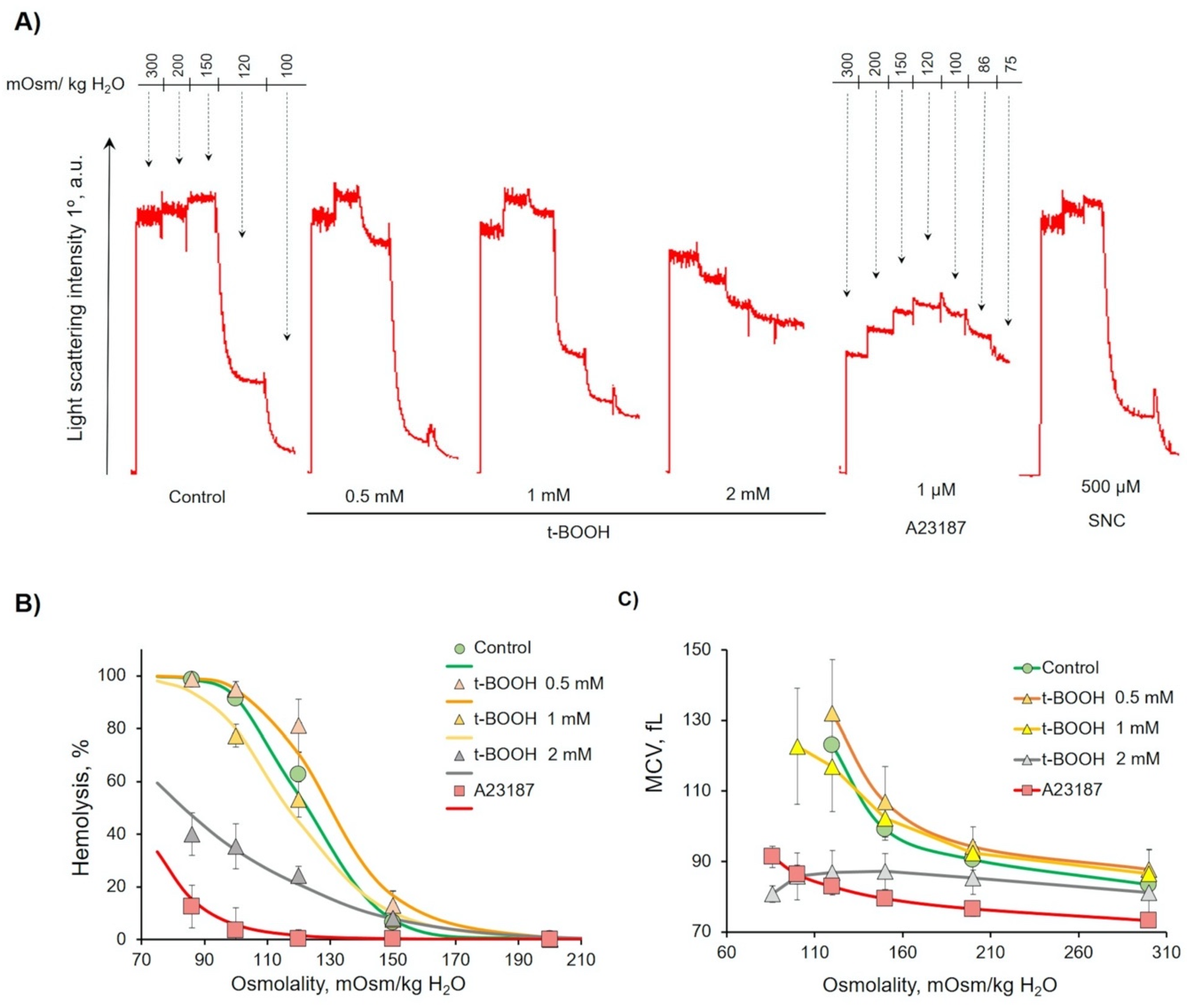 Antioxidants 09 00929 g005 Antioxidants 09 00929 g005