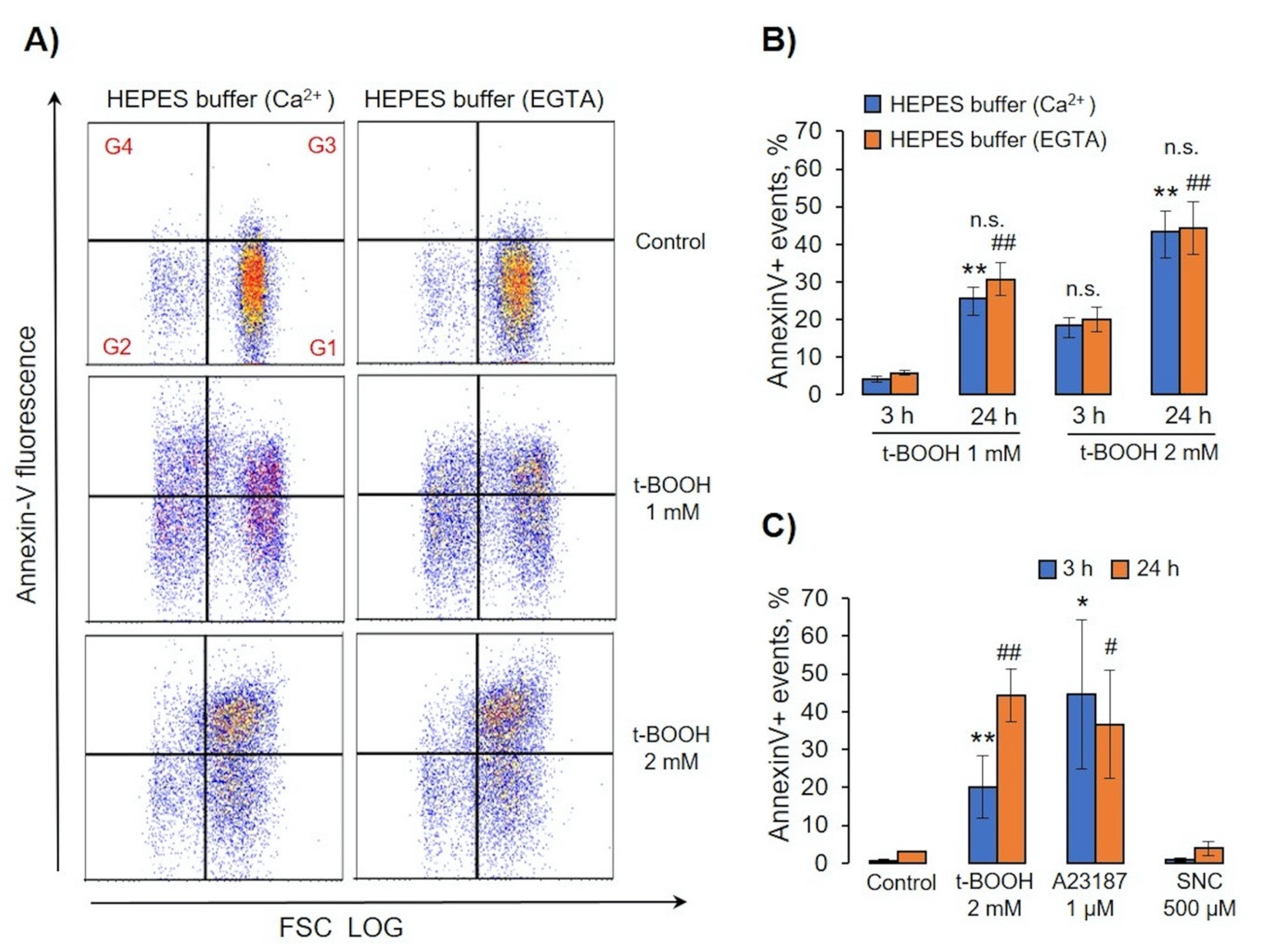 Antioxidants 09 00929 g008 Antioxidants 09 00929 g008