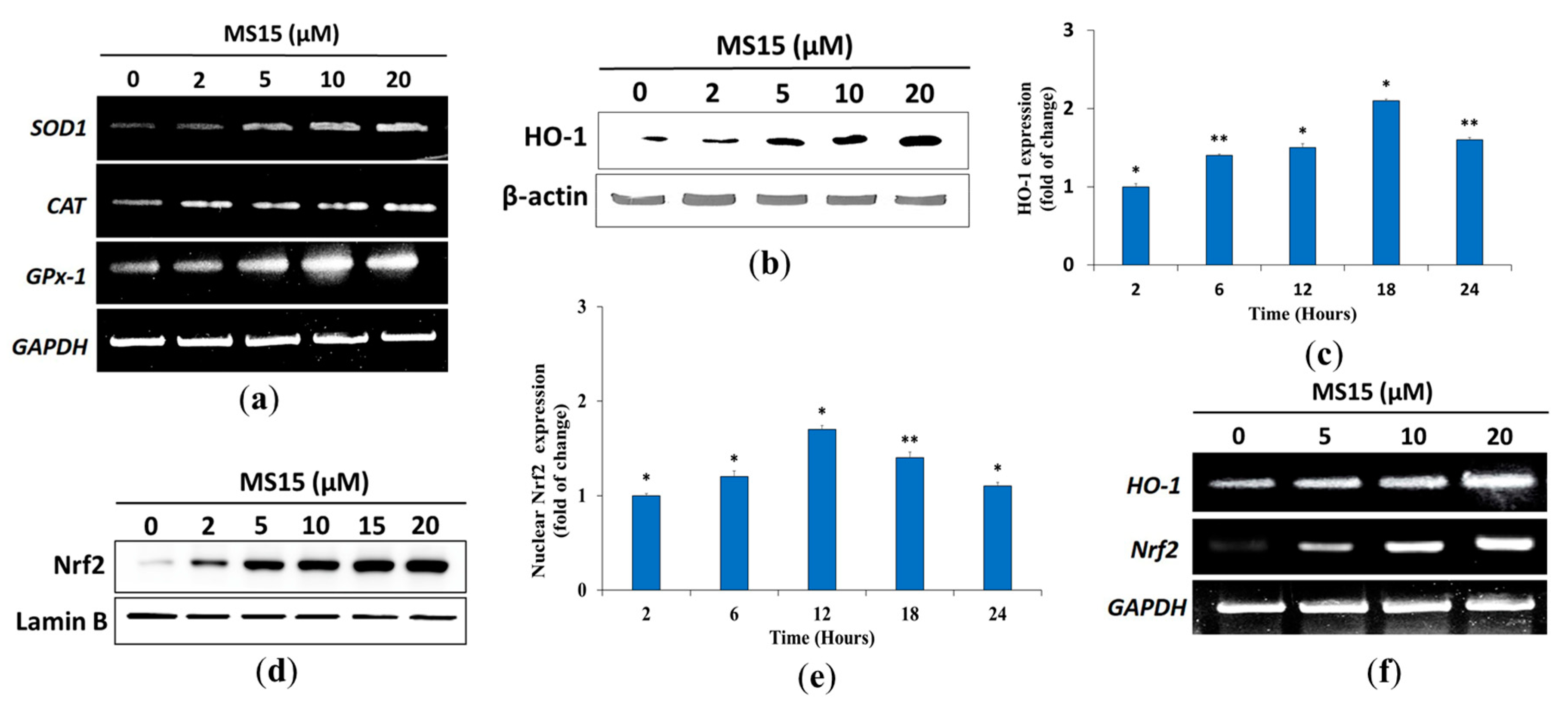 Antioxidants 09 00934 g006 Antioxidants 09 00934 g006