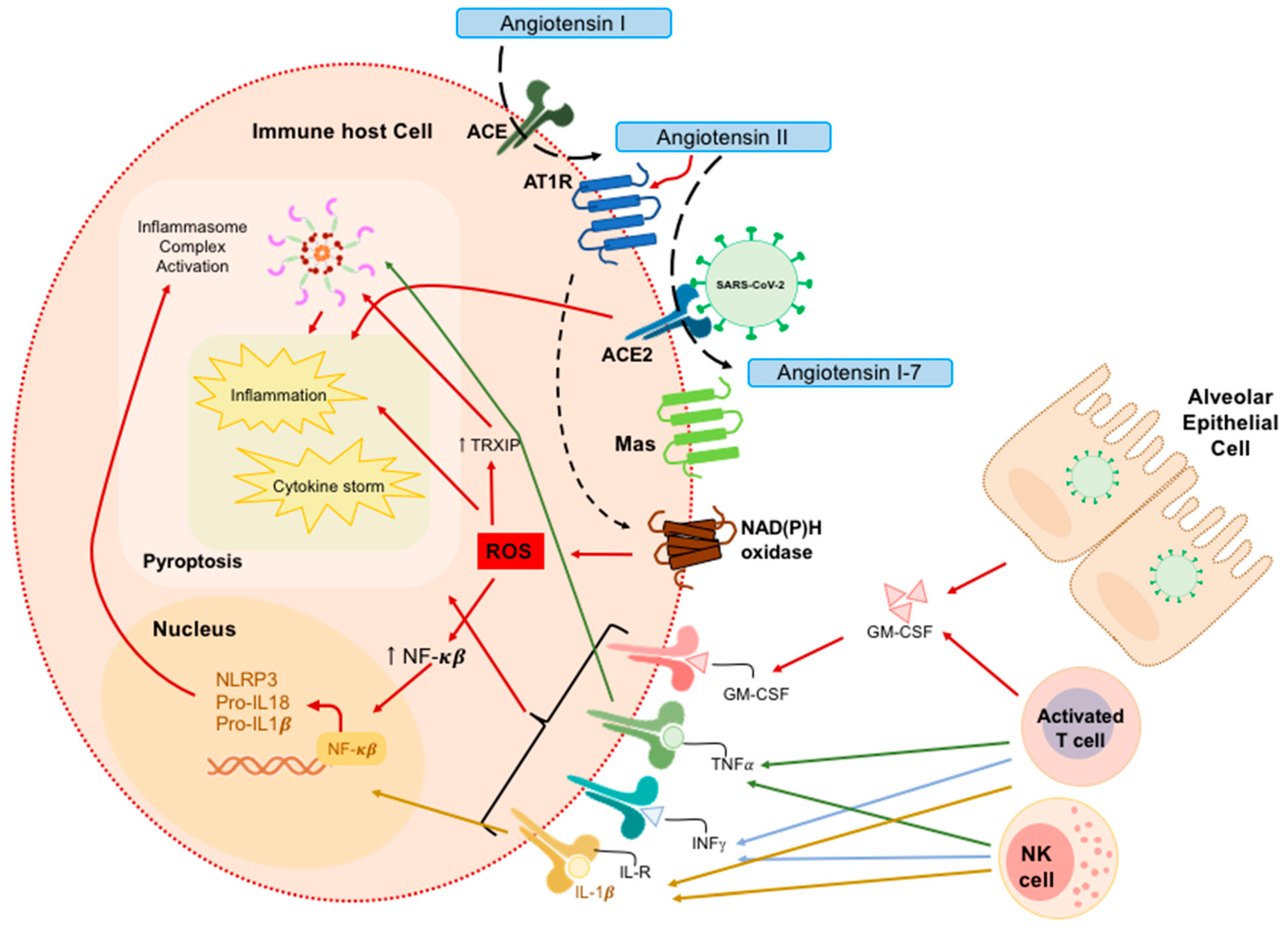 Antioxidants 09 00936 g001