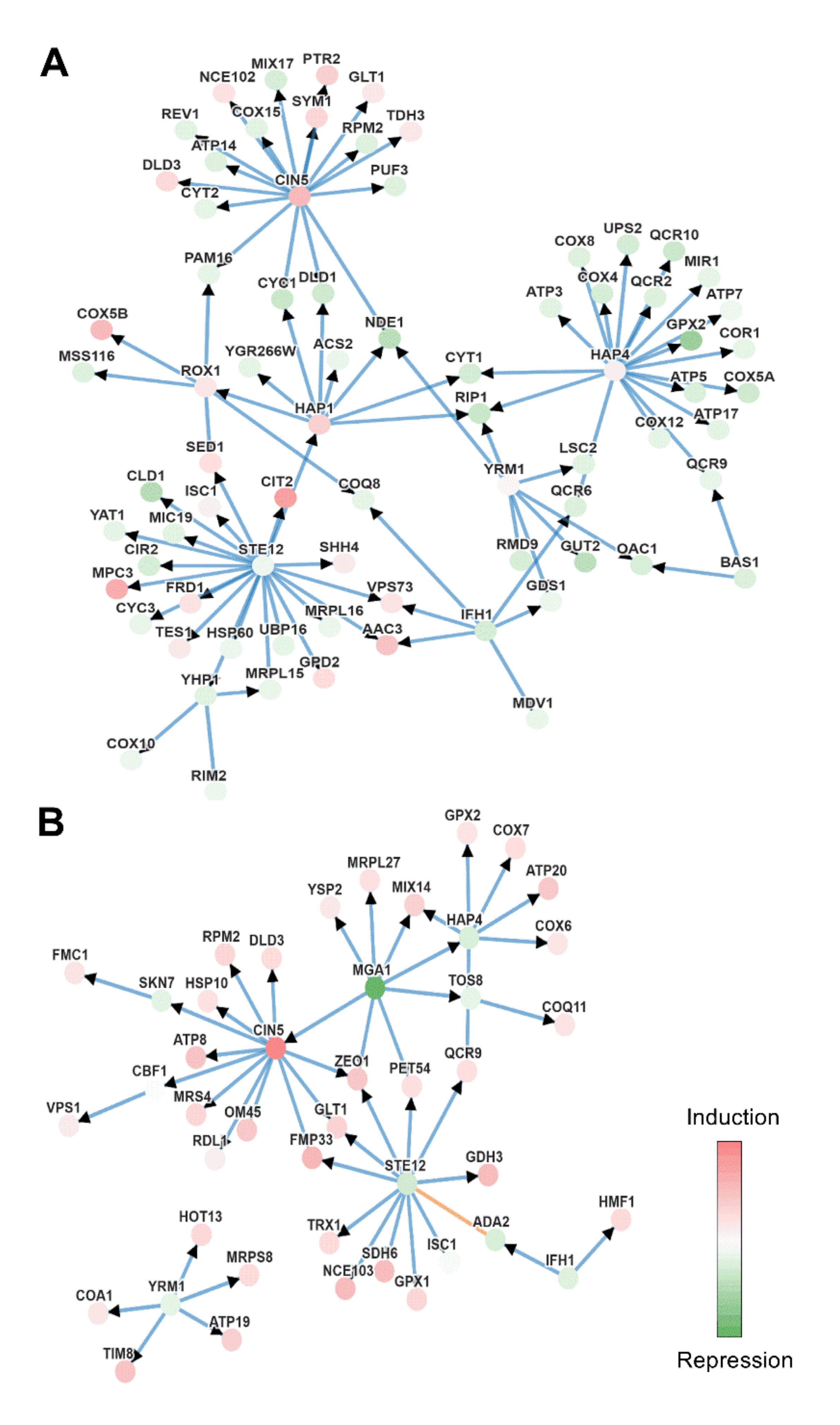 Antioxidants 09 00947 g007