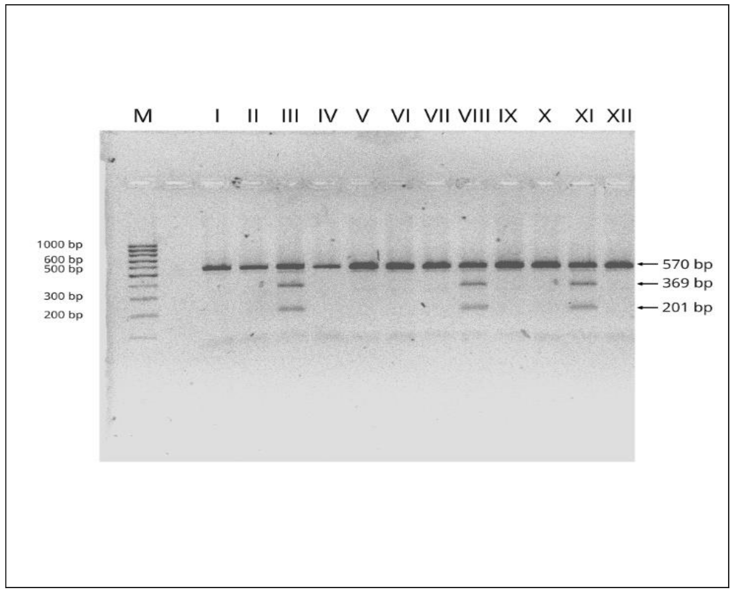 Antioxidants 09 00948 g001