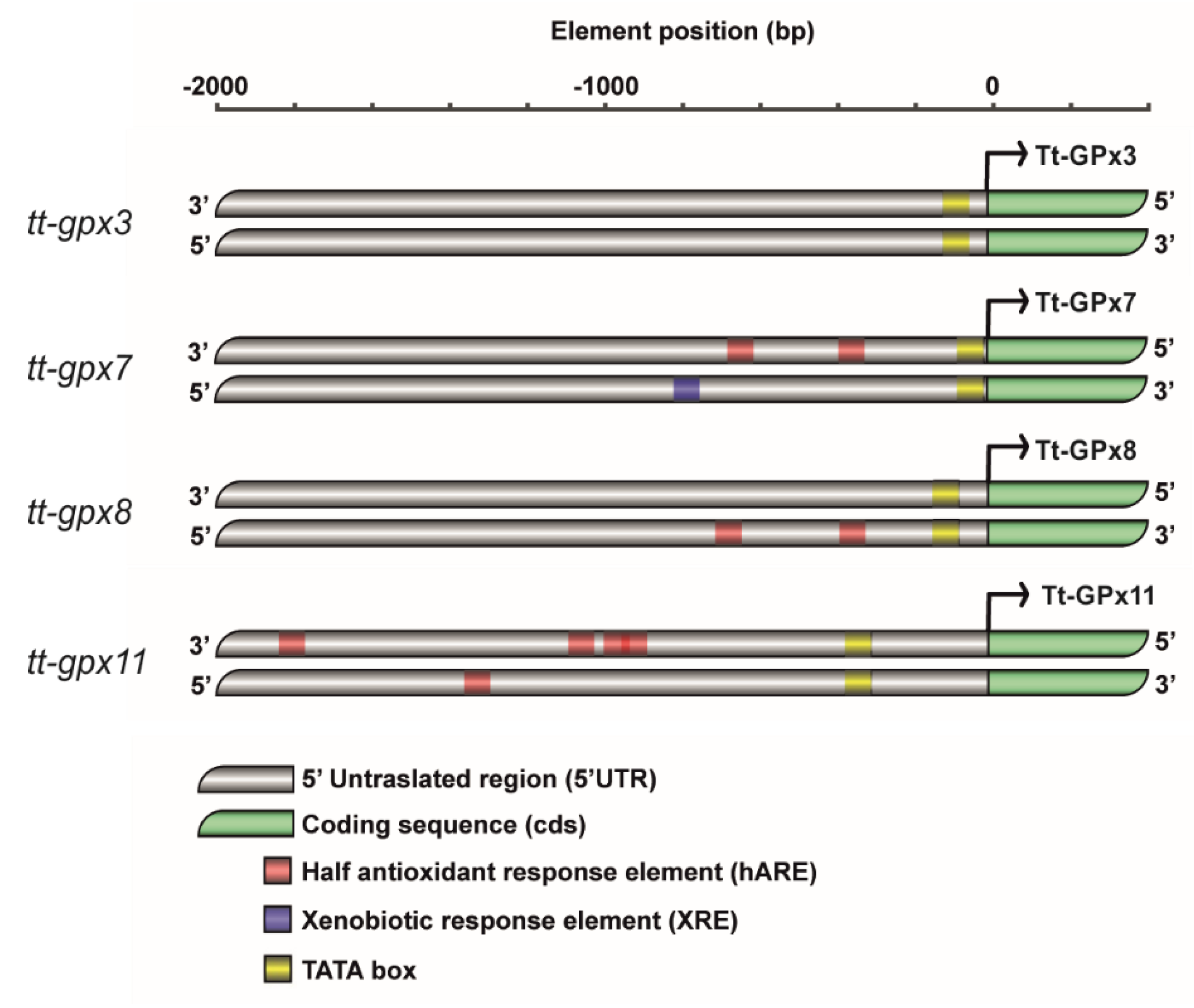 Antioxidants 09 00949 g001