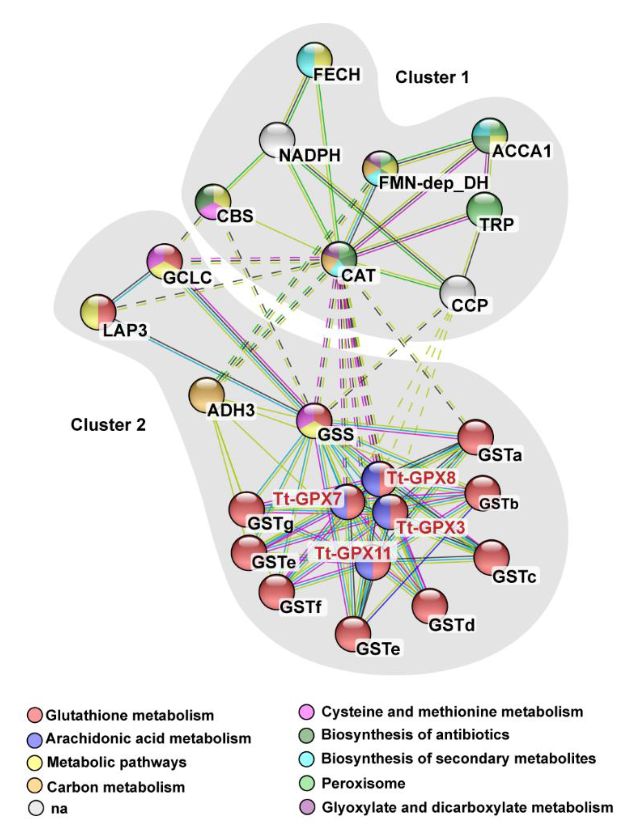 Antioxidants 09 00949 g003