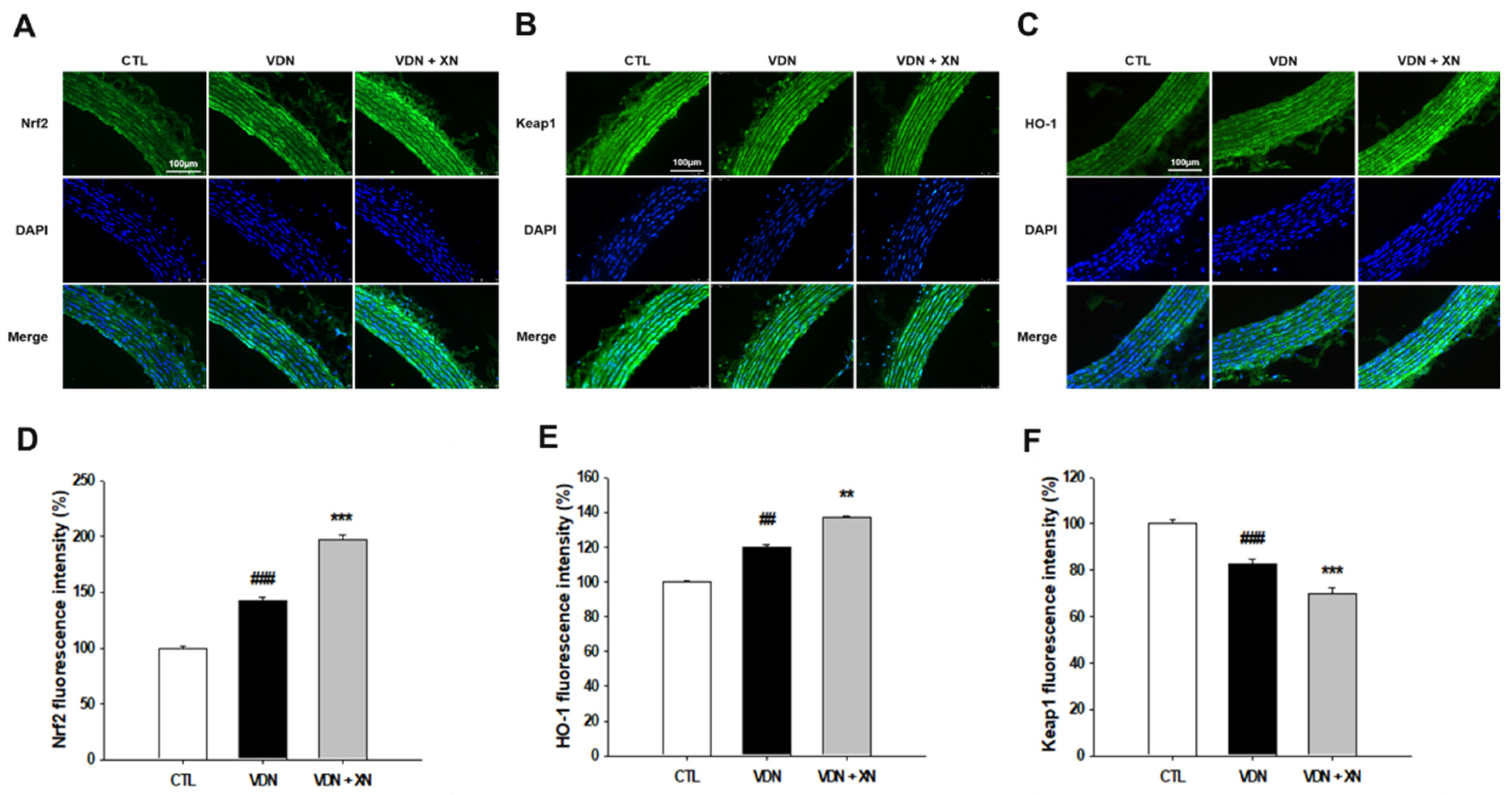 Antioxidants 09 00956 g009