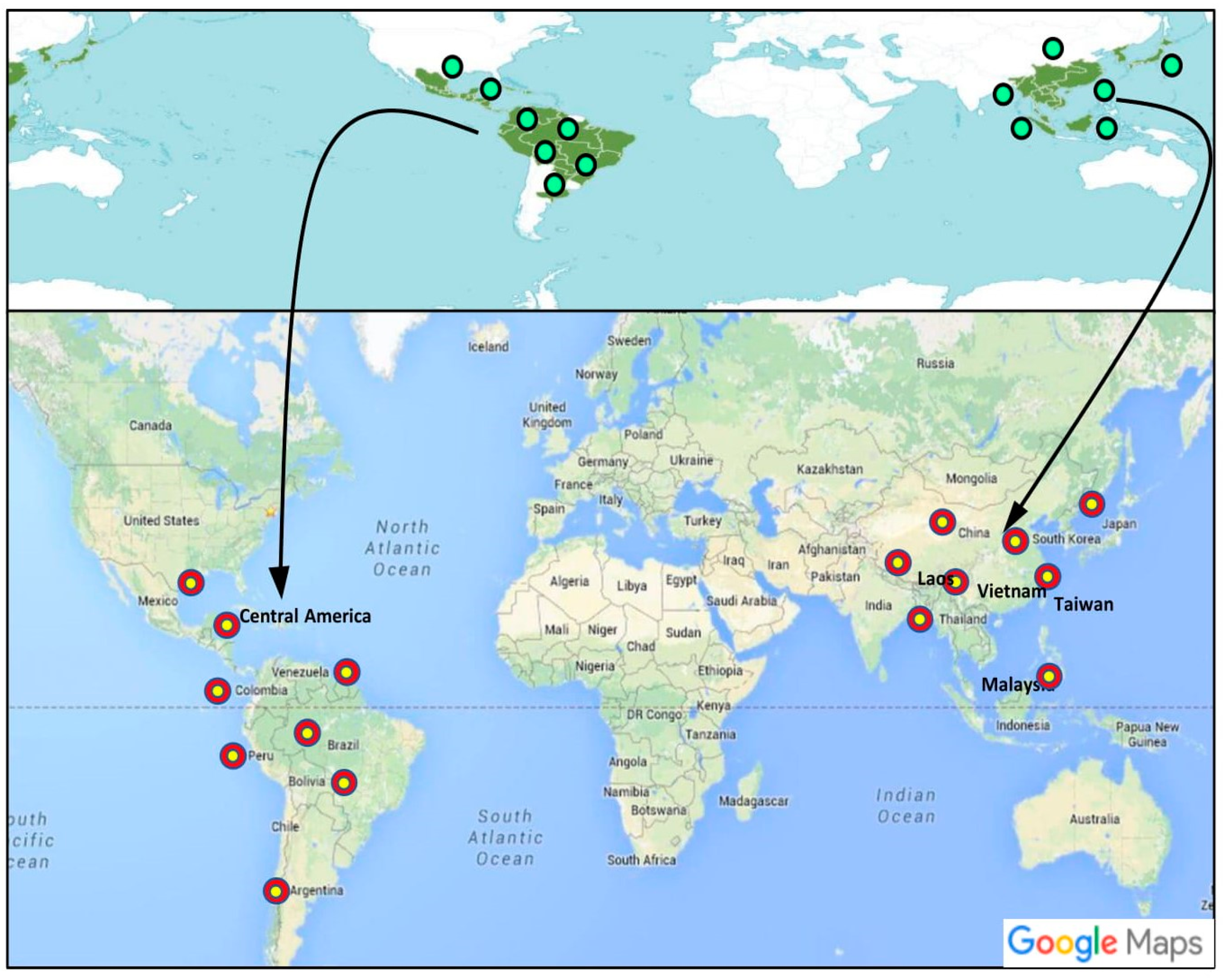 Antioxidants 09 00962 g002