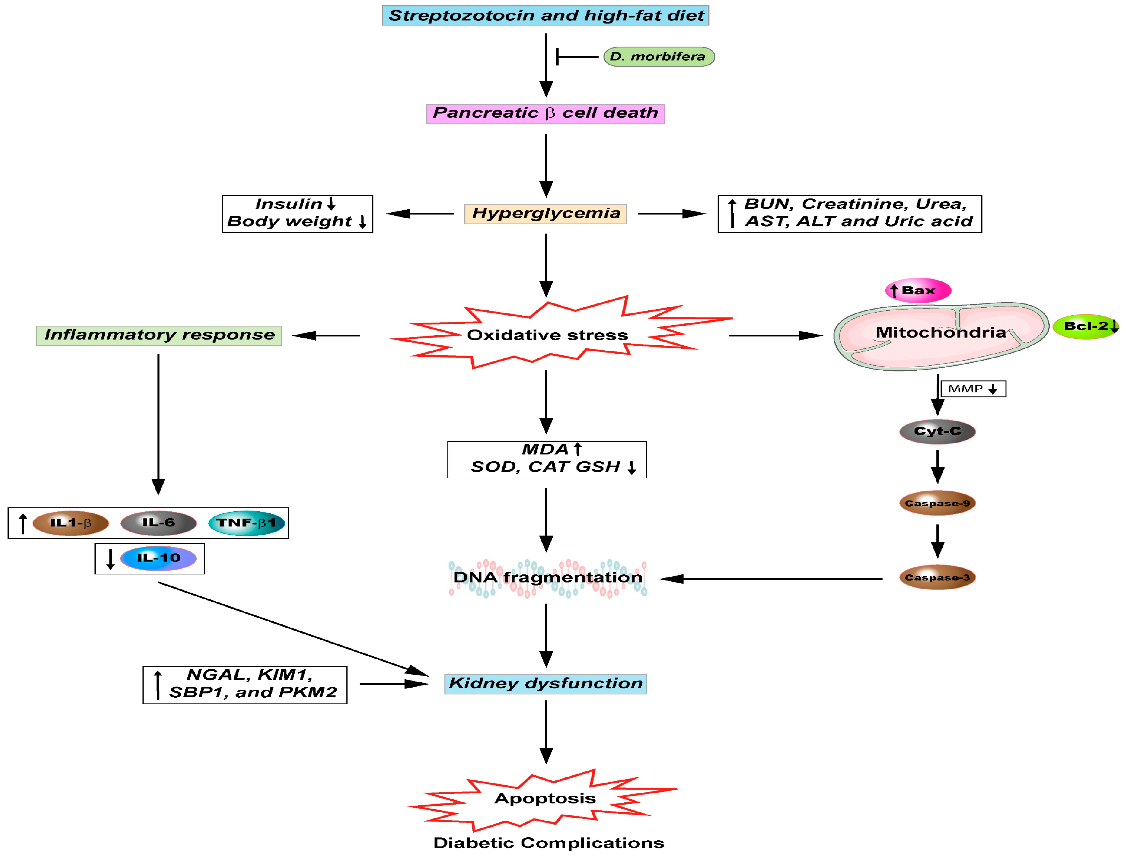 Antioxidants 09 00962 g005
