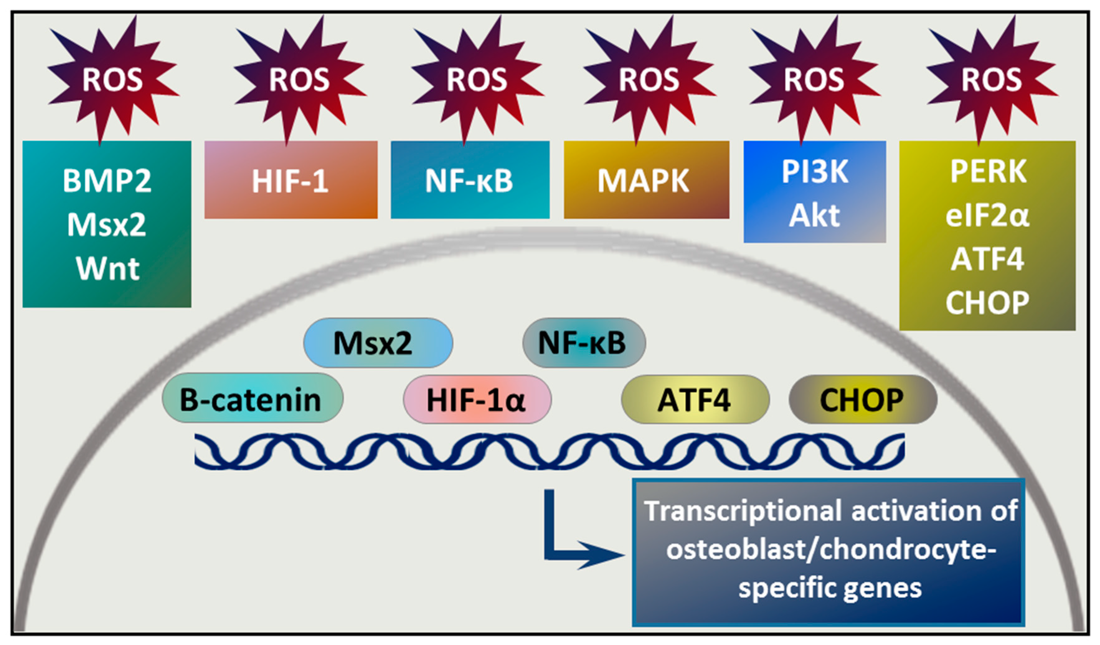 Antioxidants 09 00963 g003