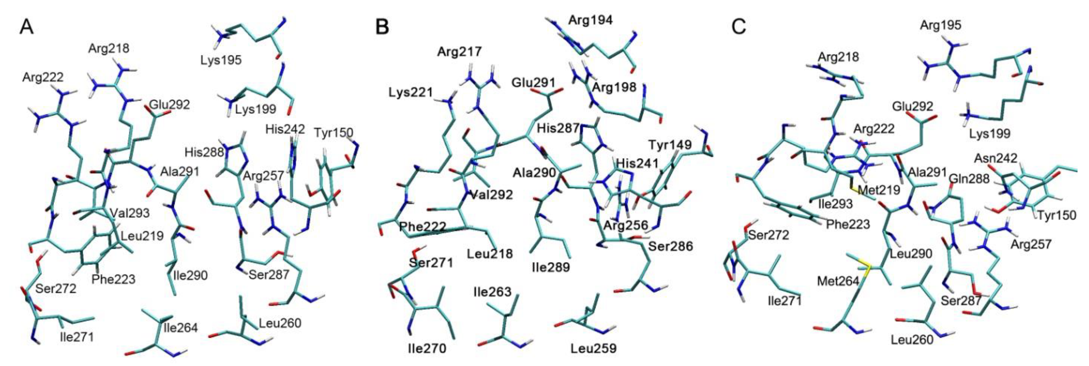 Antioxidants 09 00966 g003