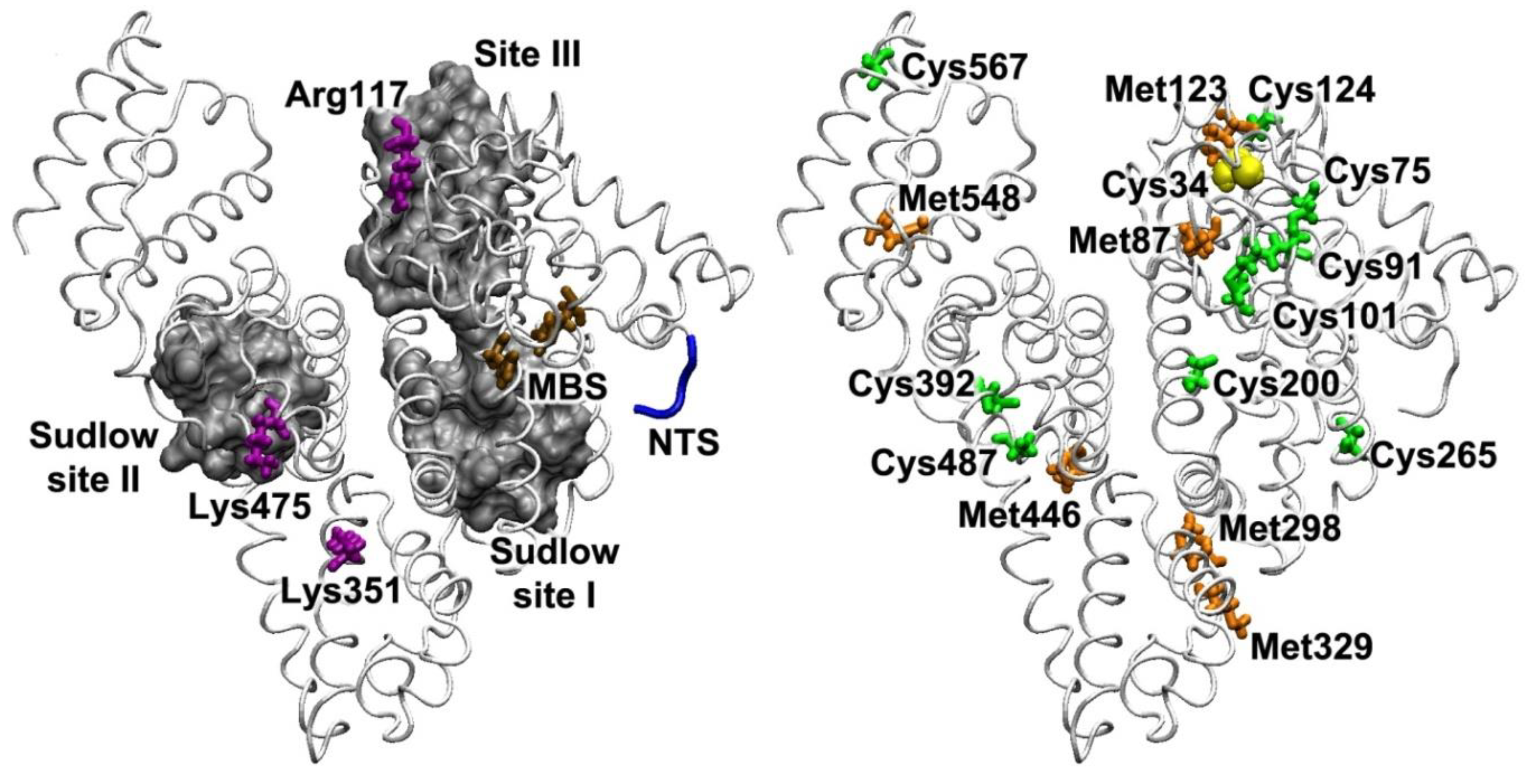 Antioxidants 09 00966 g006
