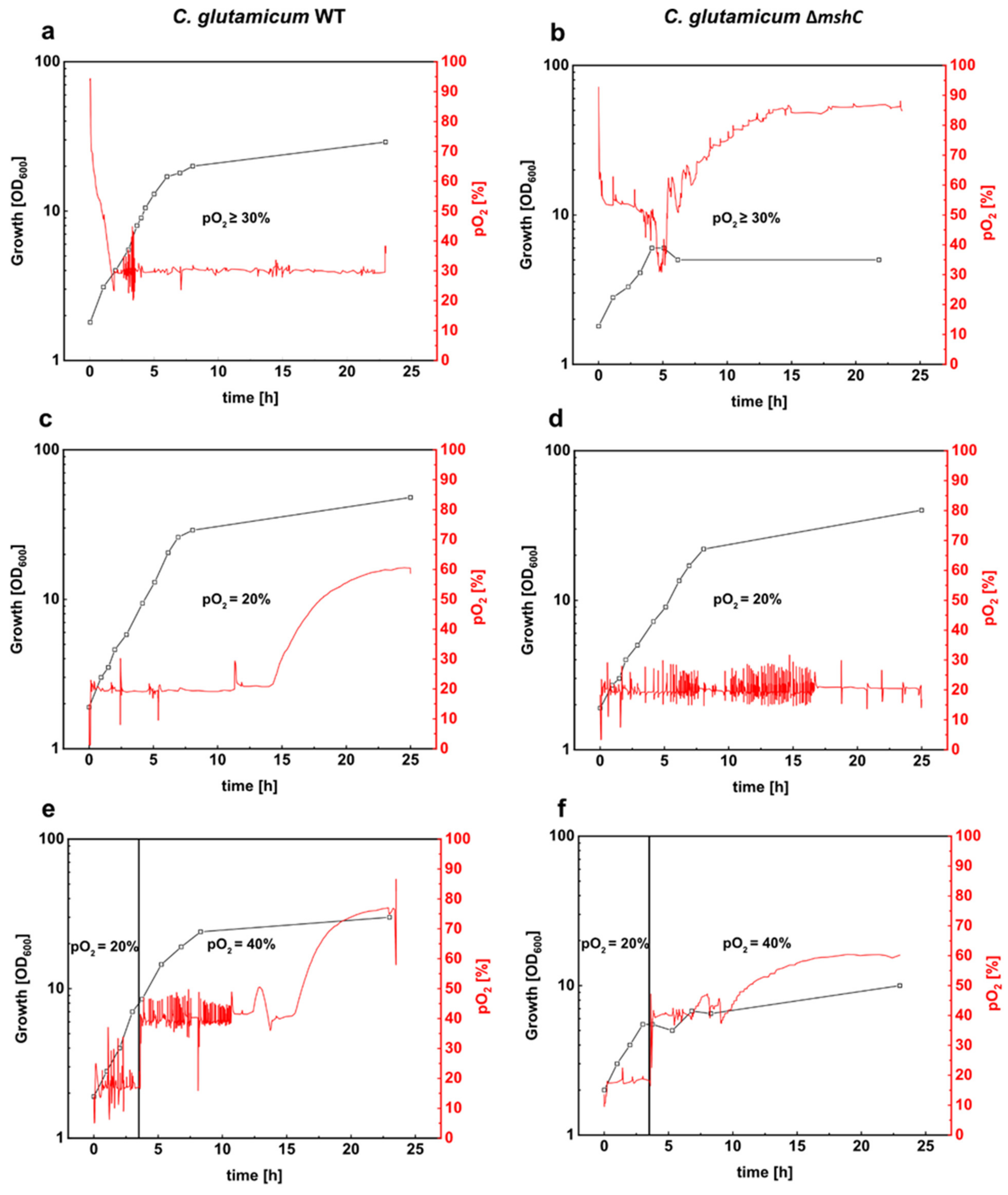 Antioxidants 09 00969 g001