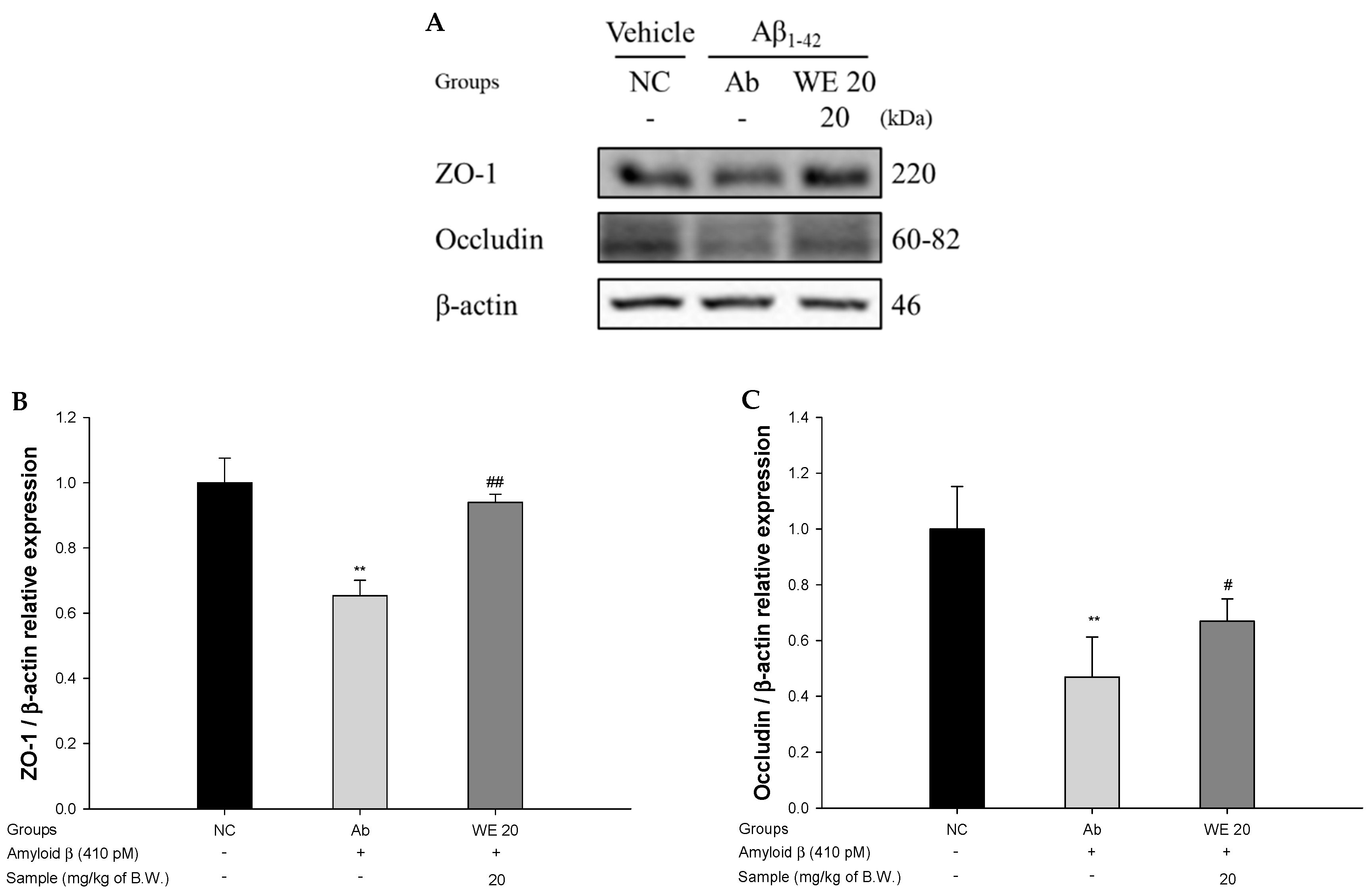 Antioxidants 09 00976 g007 Antioxidants 09 00976 g007