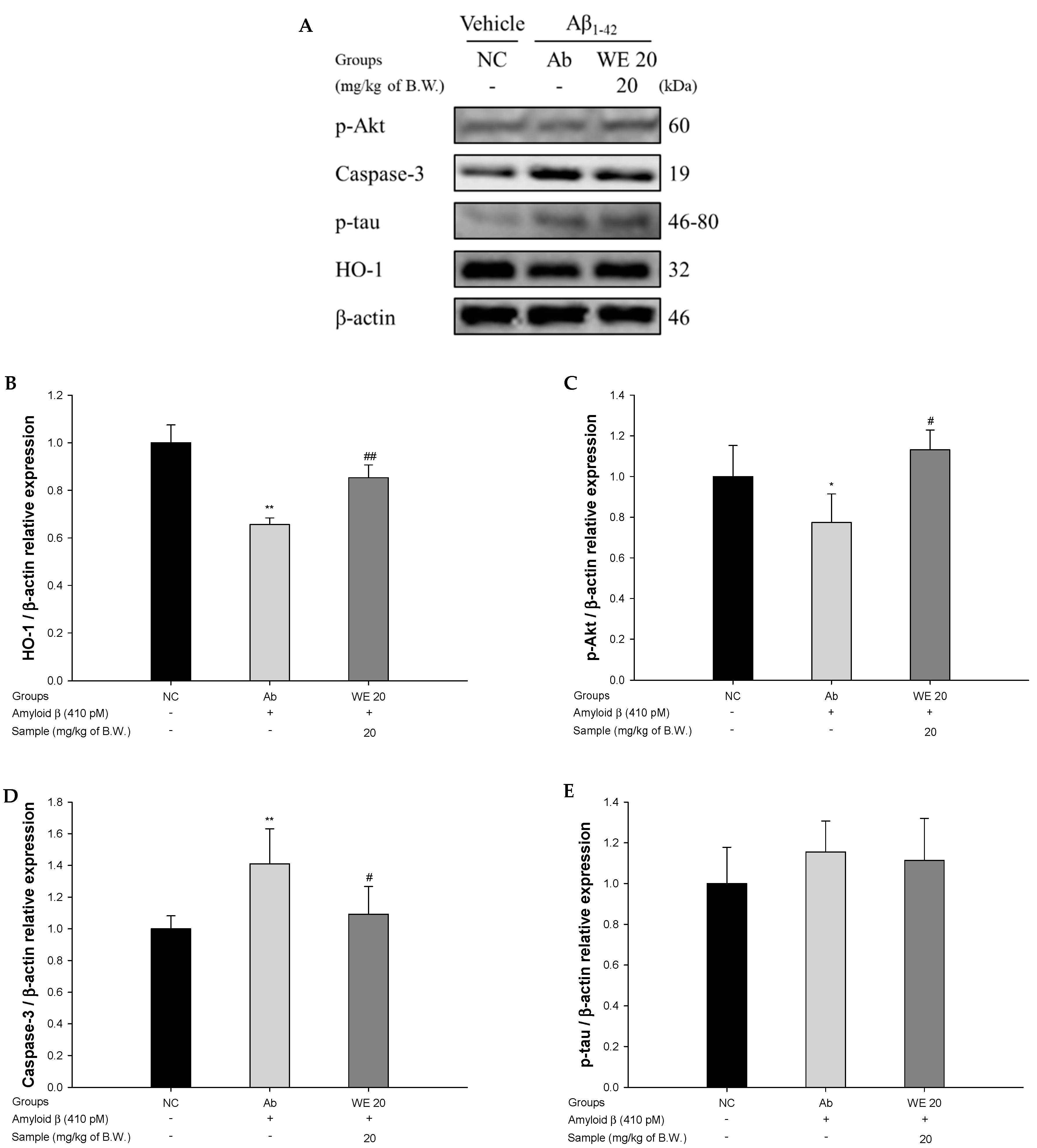 Antioxidants 09 00976 g009 Antioxidants 09 00976 g009