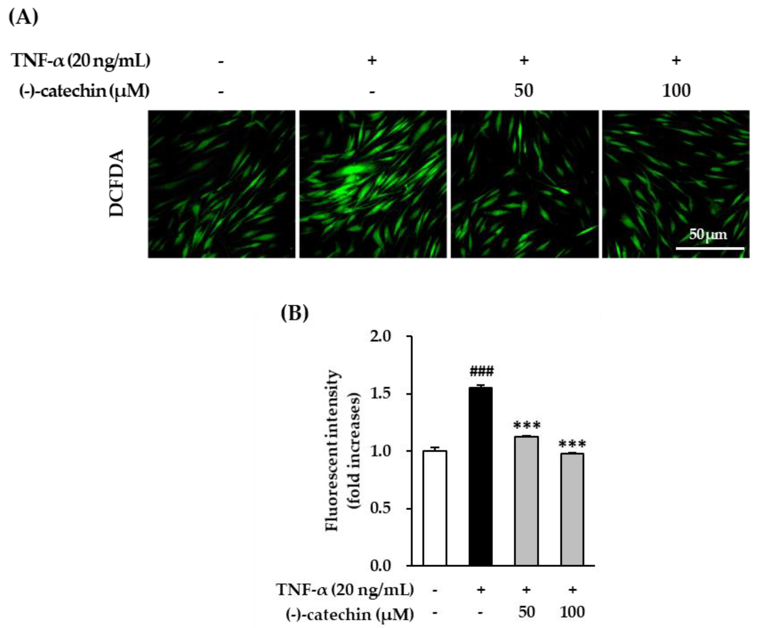 Antioxidants 09 00981 g003 Antioxidants 09 00981 g003