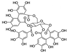 Antioxidants 09 00982 i008