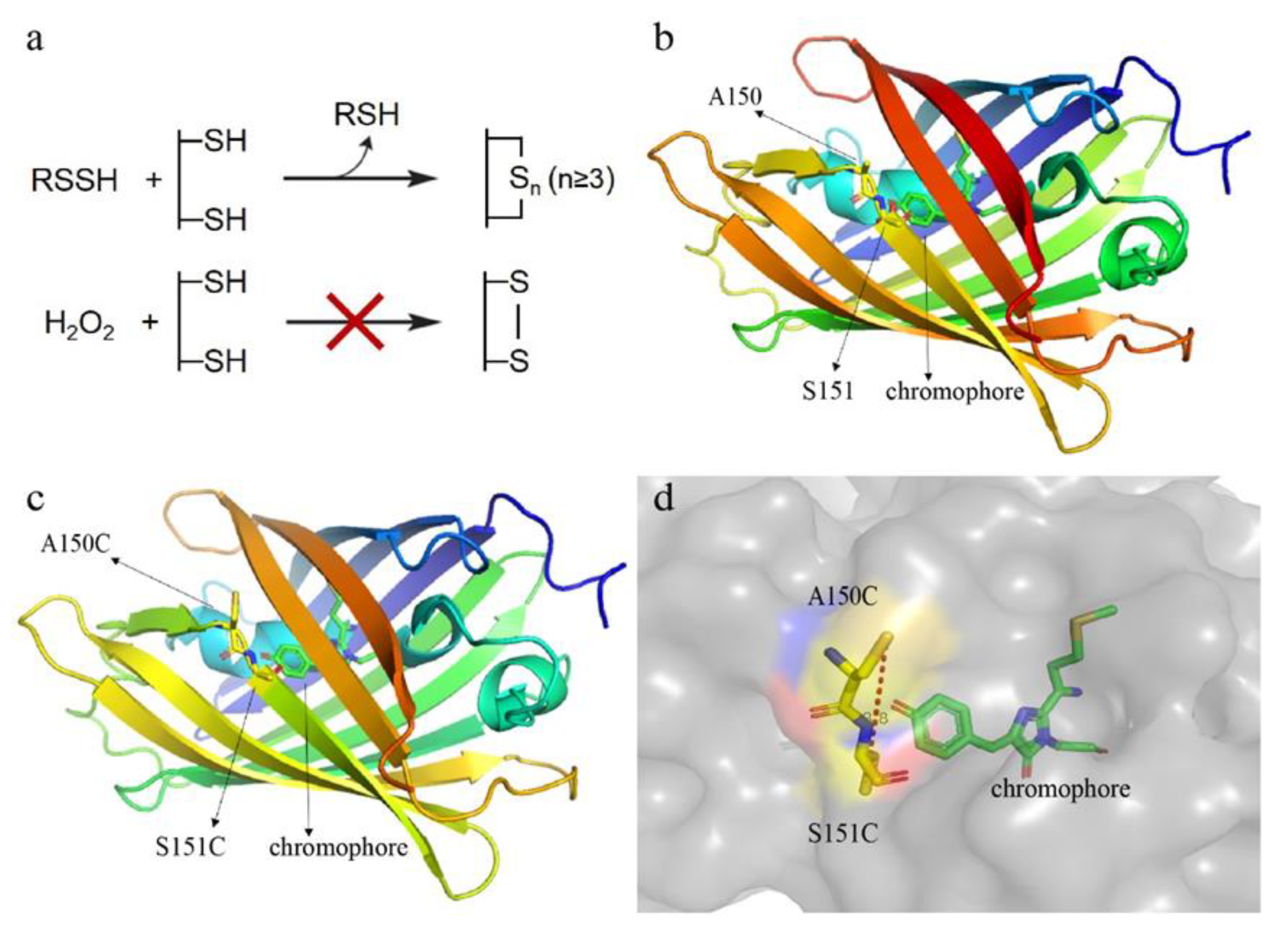 Antioxidants 09 00985 g001