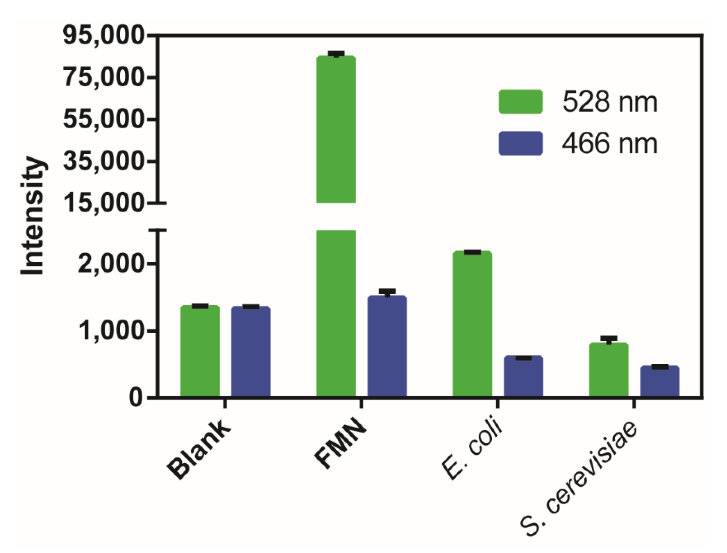 Antioxidants 09 00985 g005