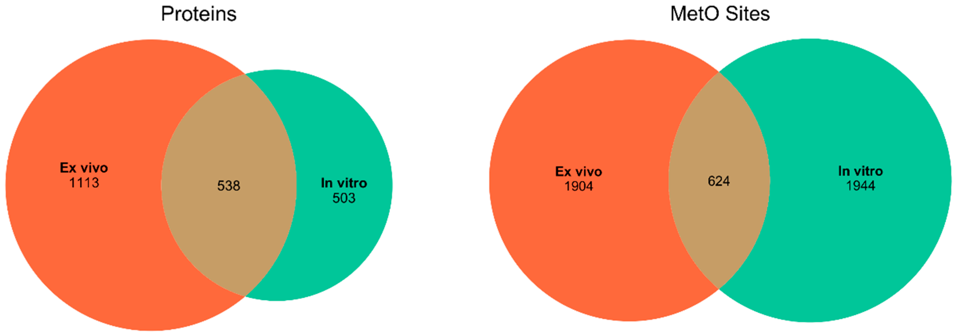 Antioxidants 09 00987 g001