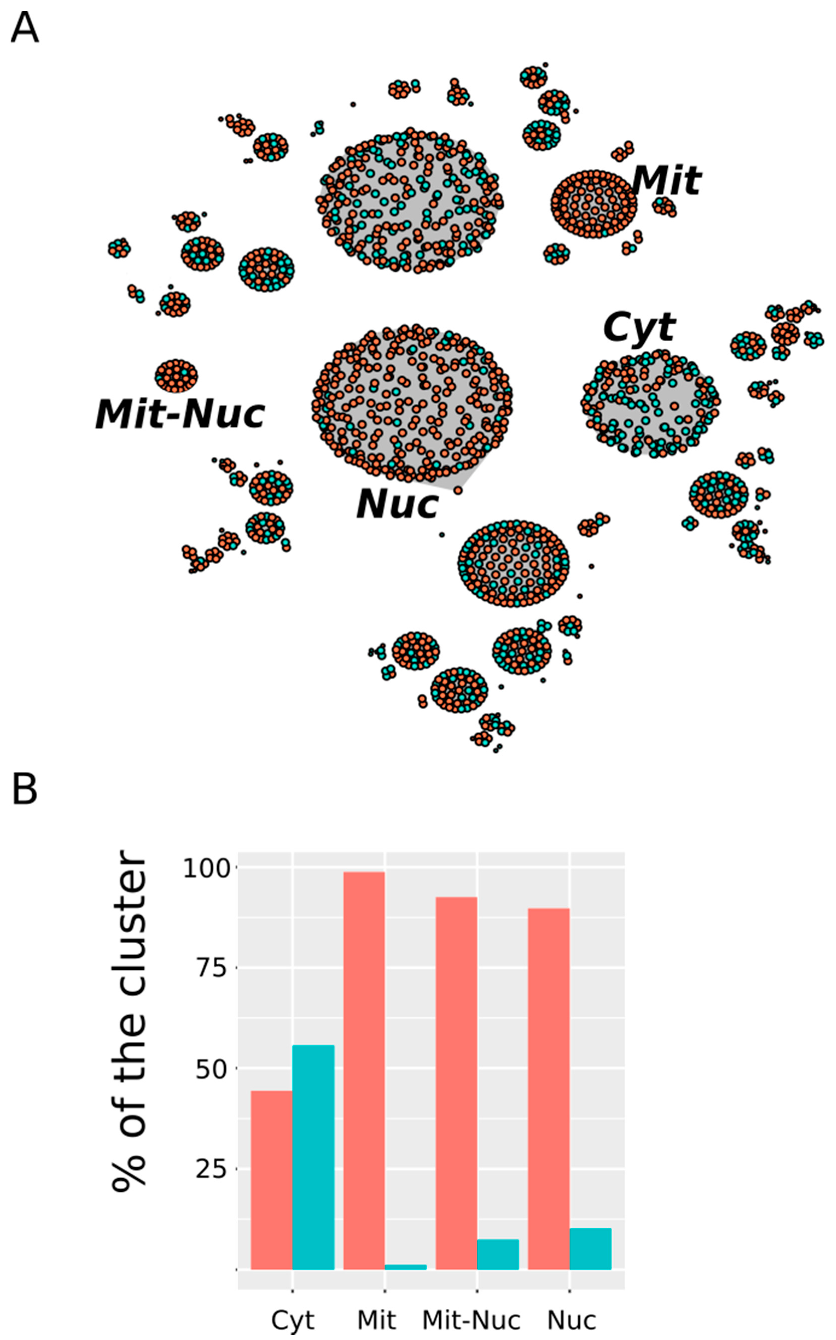 Antioxidants 09 00987 g006