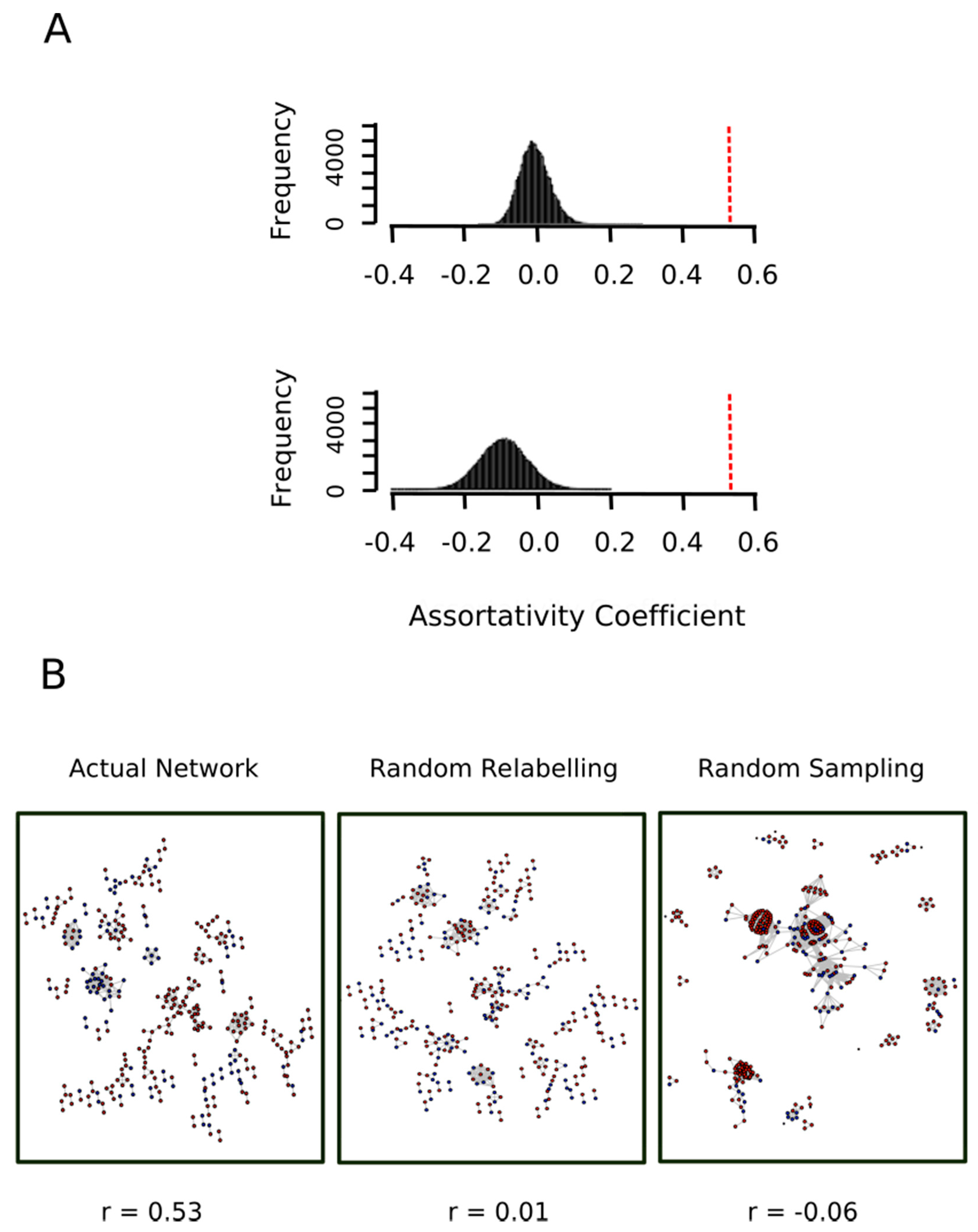 Antioxidants 09 00987 g008