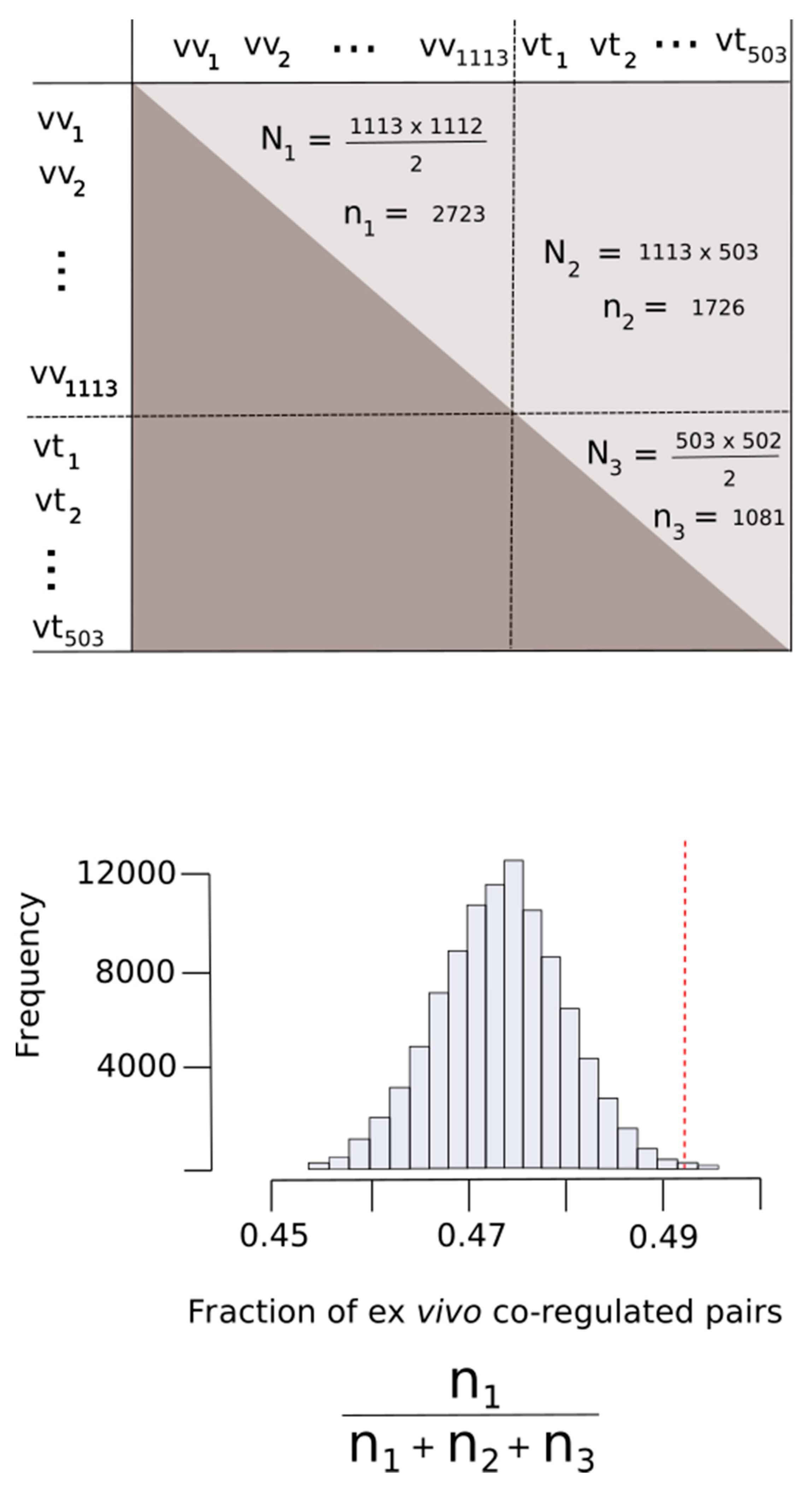 Antioxidants 09 00987 g009