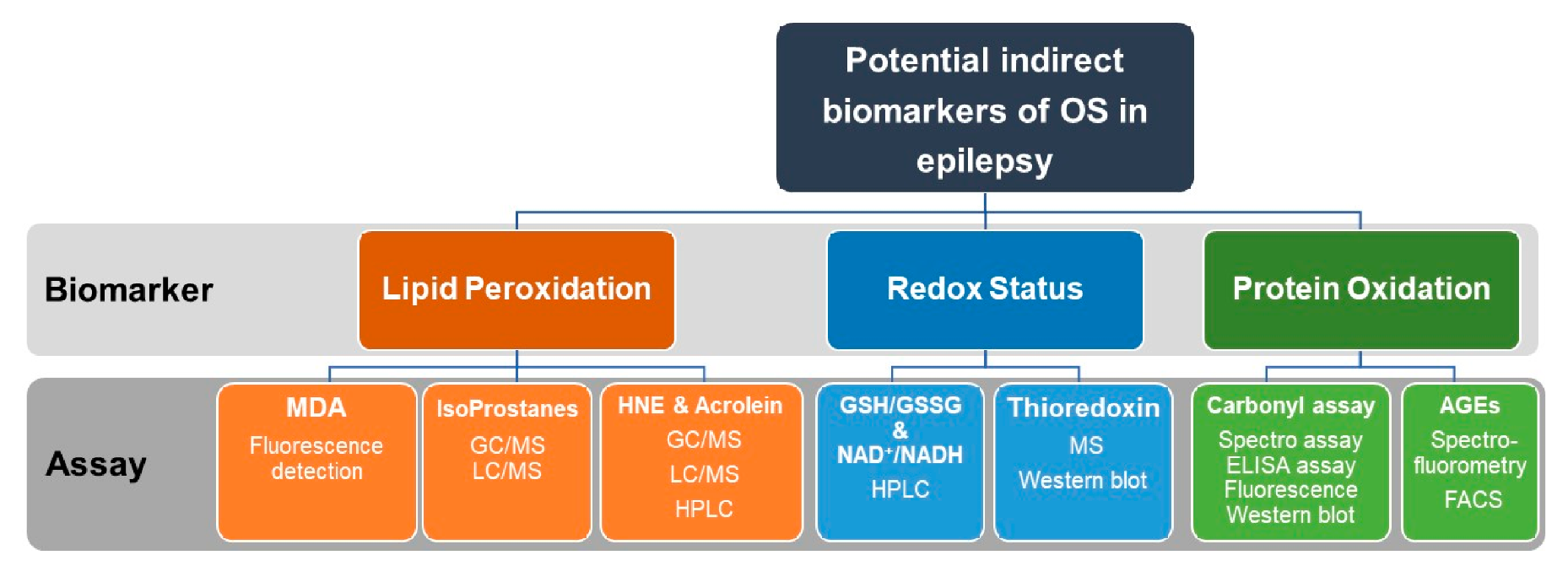 Antioxidants 09 00990 g005
