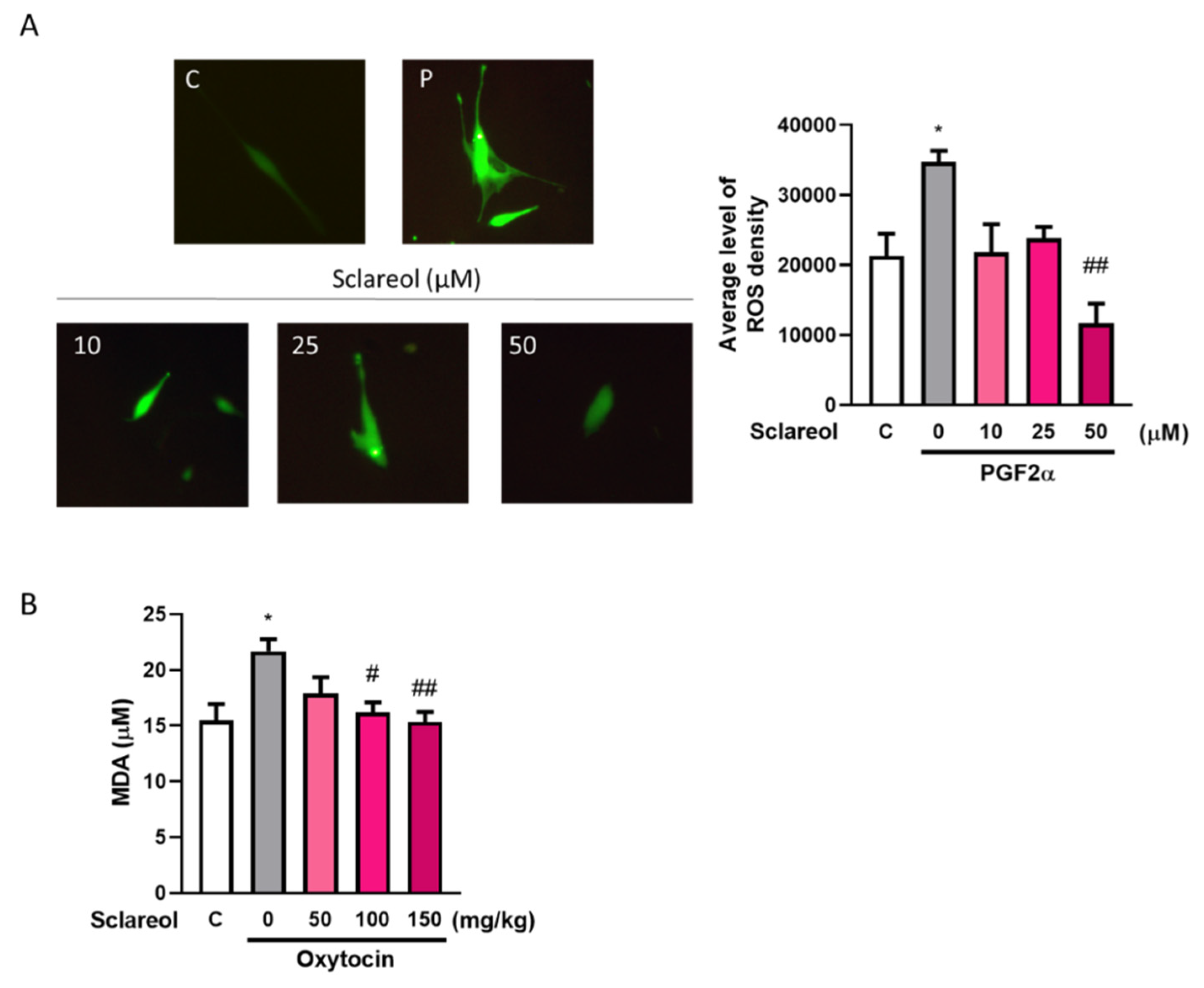 Antioxidants 09 00991 g006