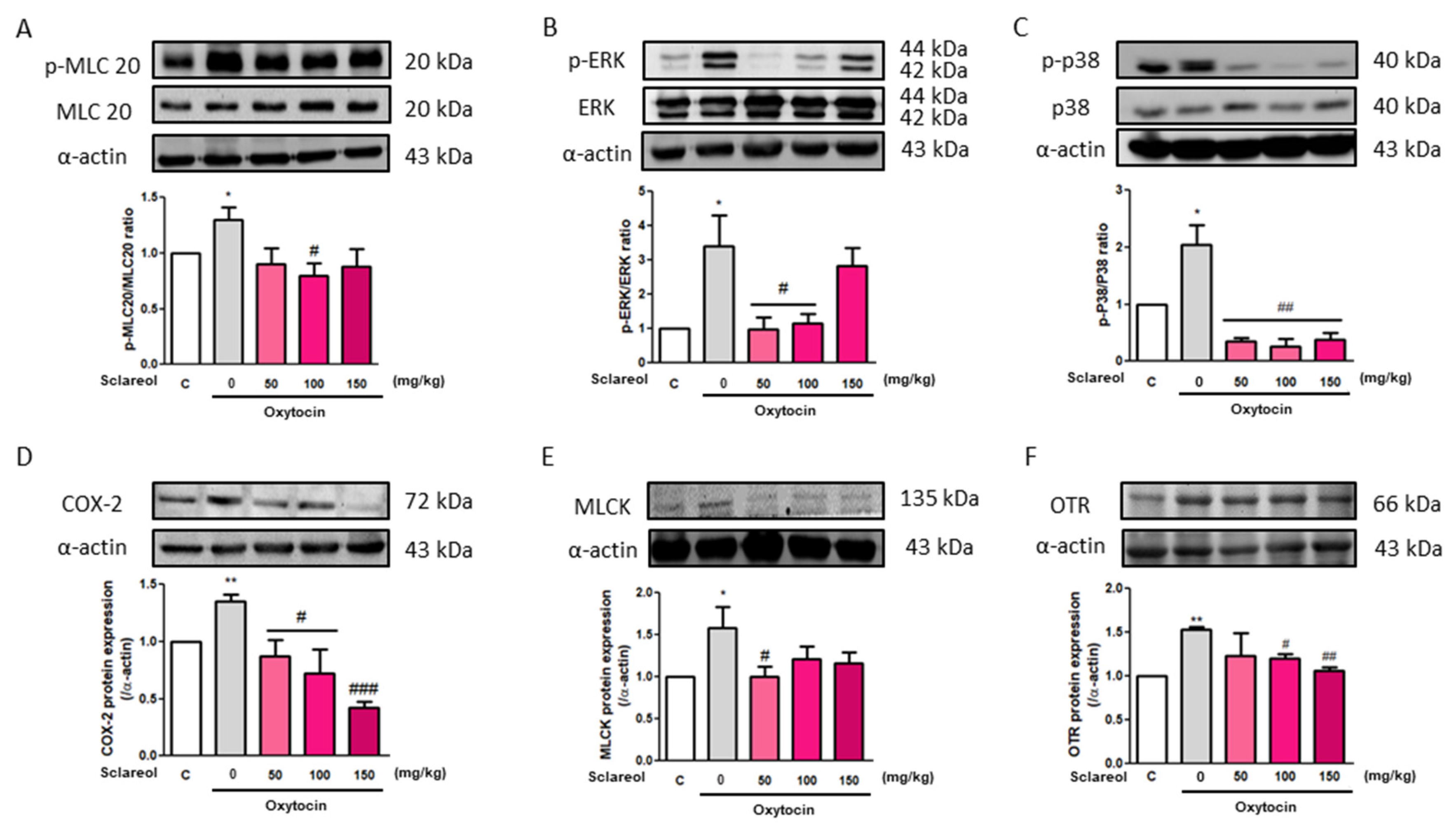 Antioxidants 09 00991 g007