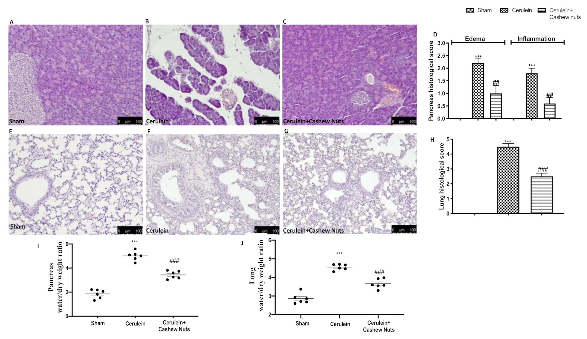 Antioxidants 09 00992 g001