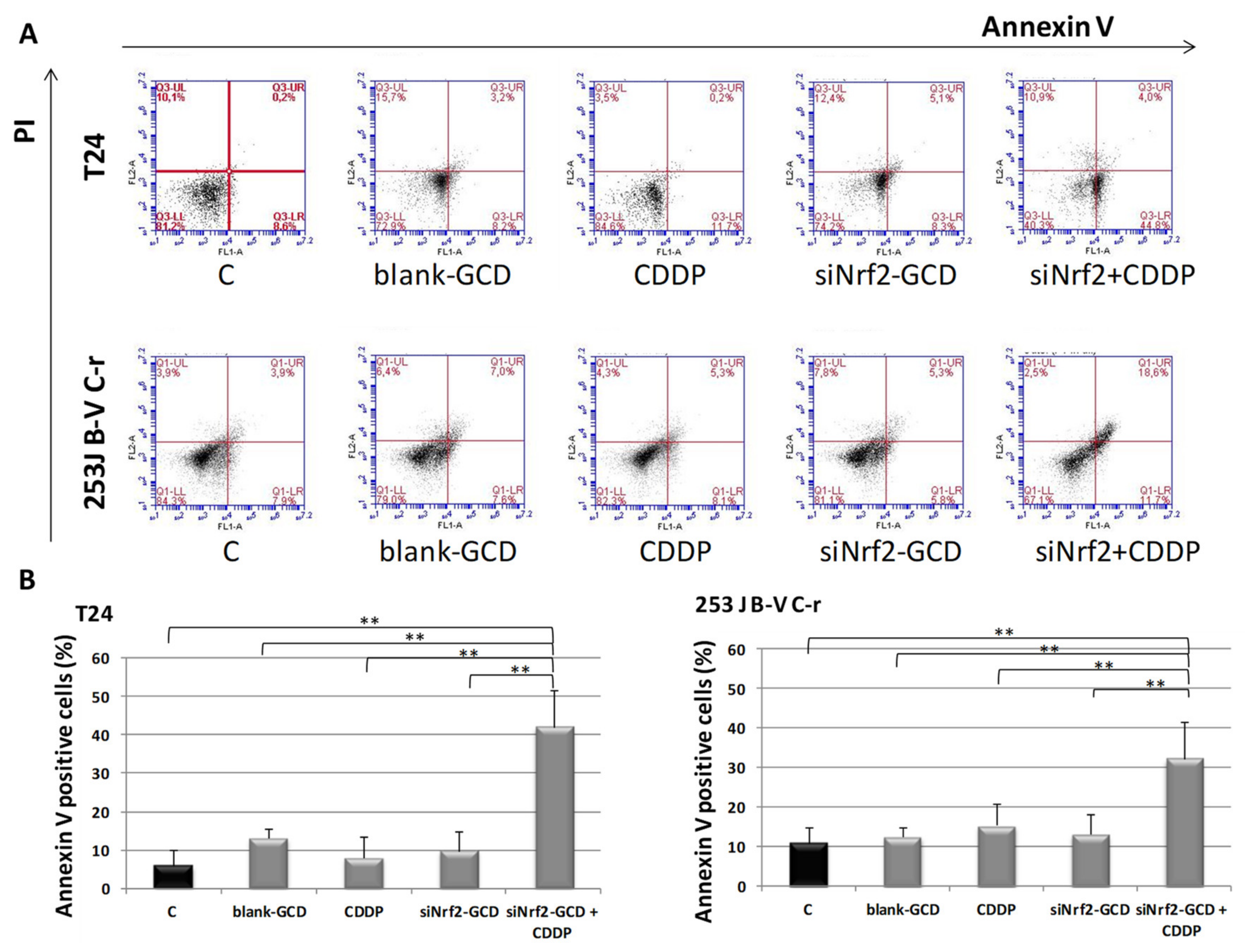Antioxidants 09 00993 g007