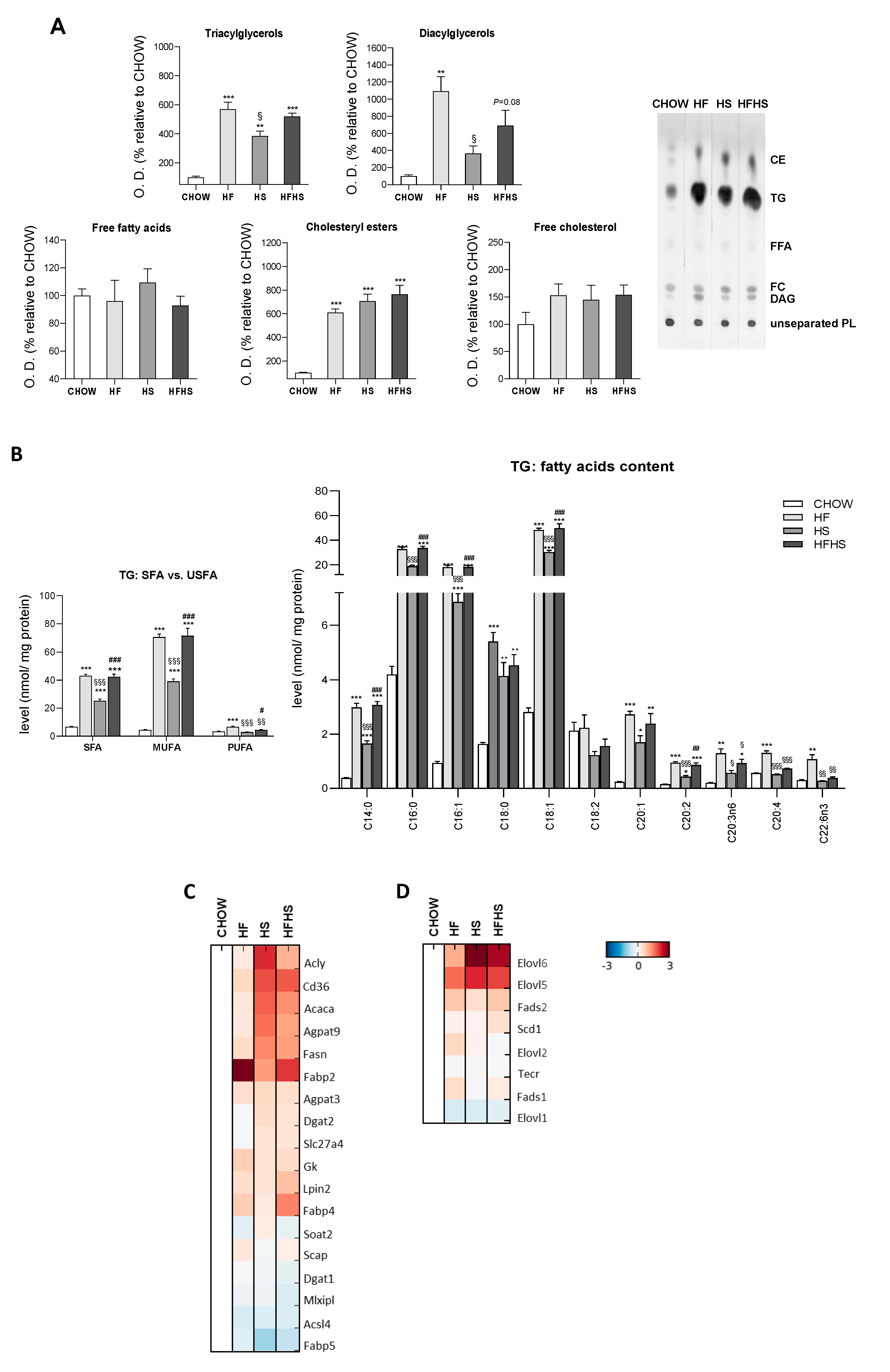 Antioxidants 09 00995 g003