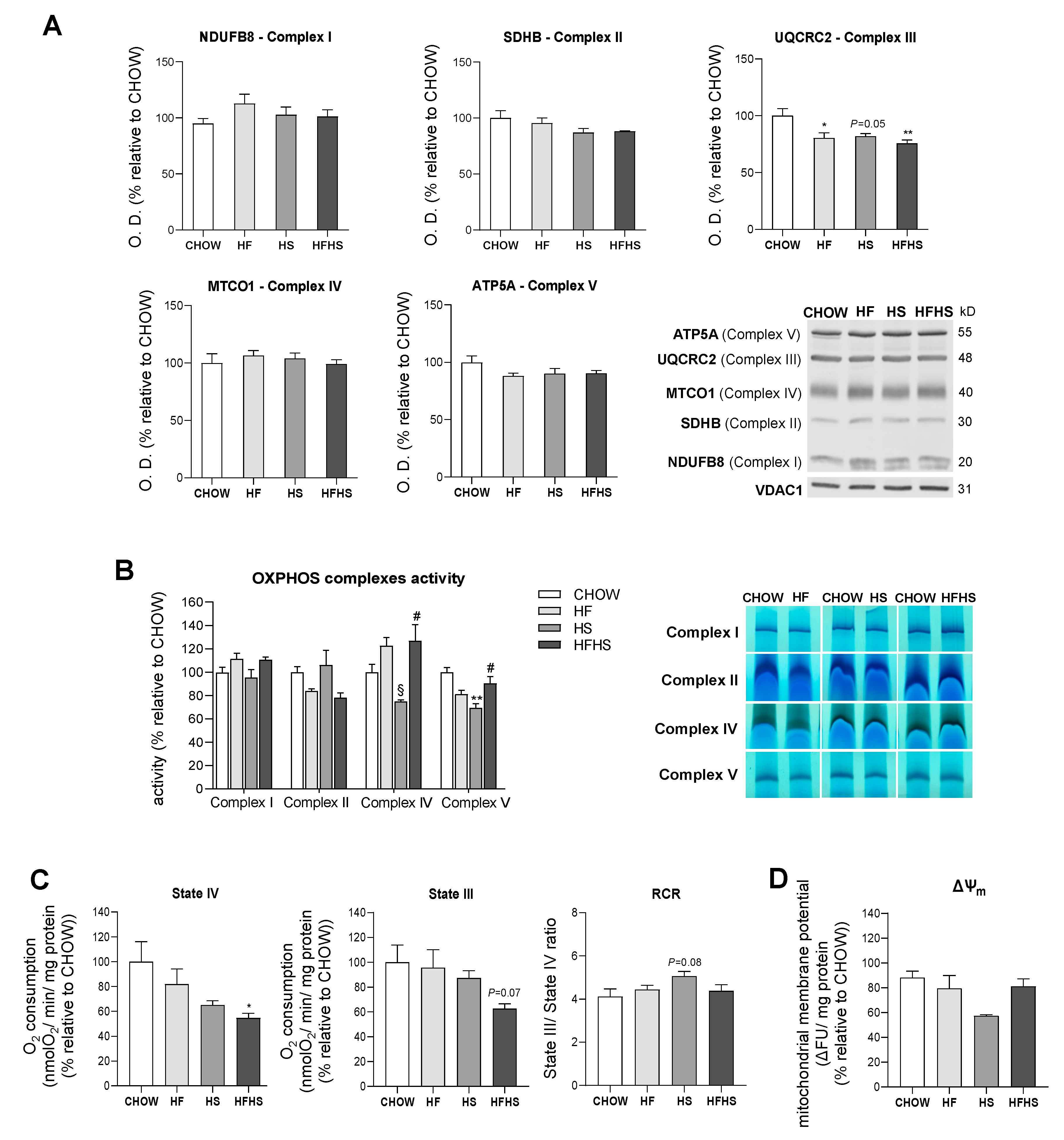 Antioxidants 09 00995 g005