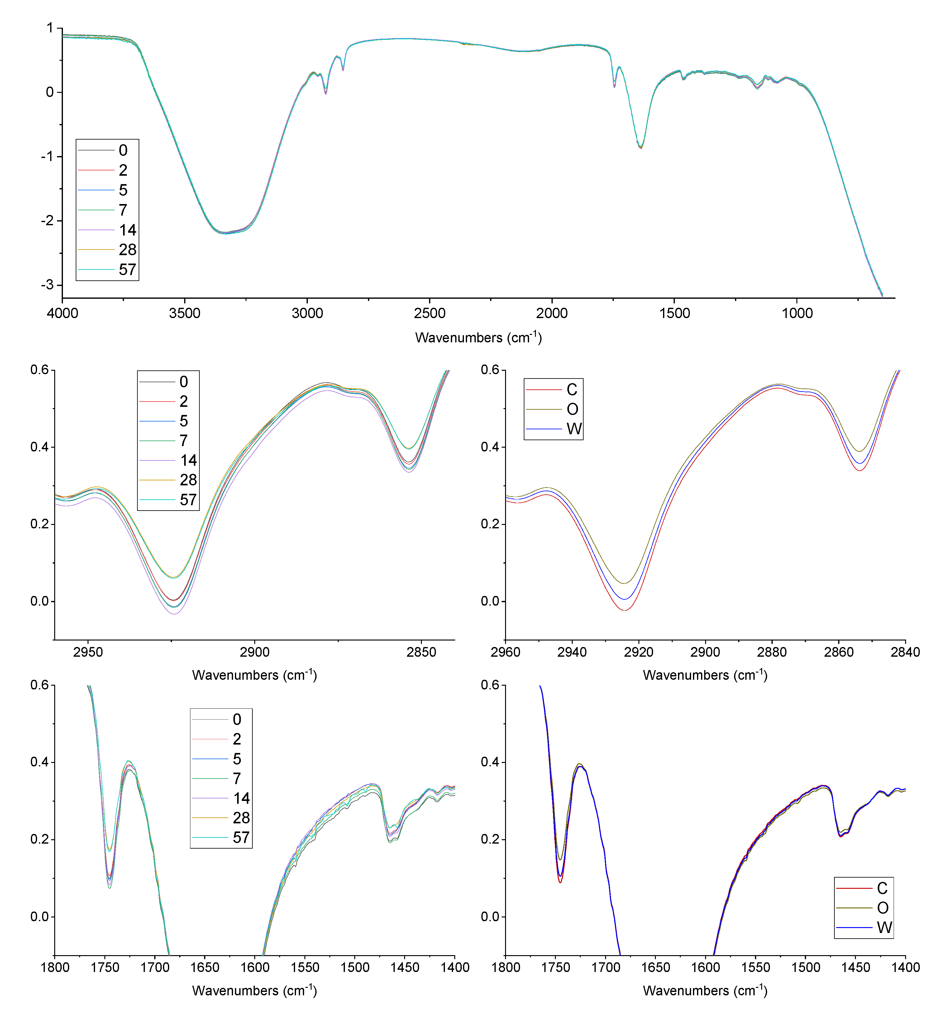Antioxidants 09 00996 g003