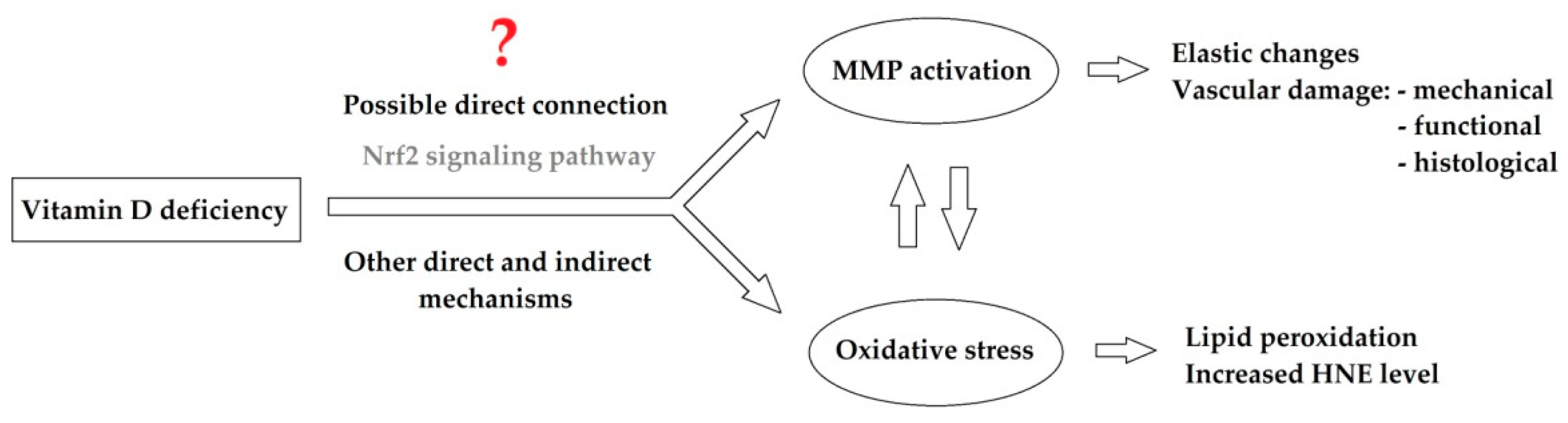 Antioxidants 09 00997 g008