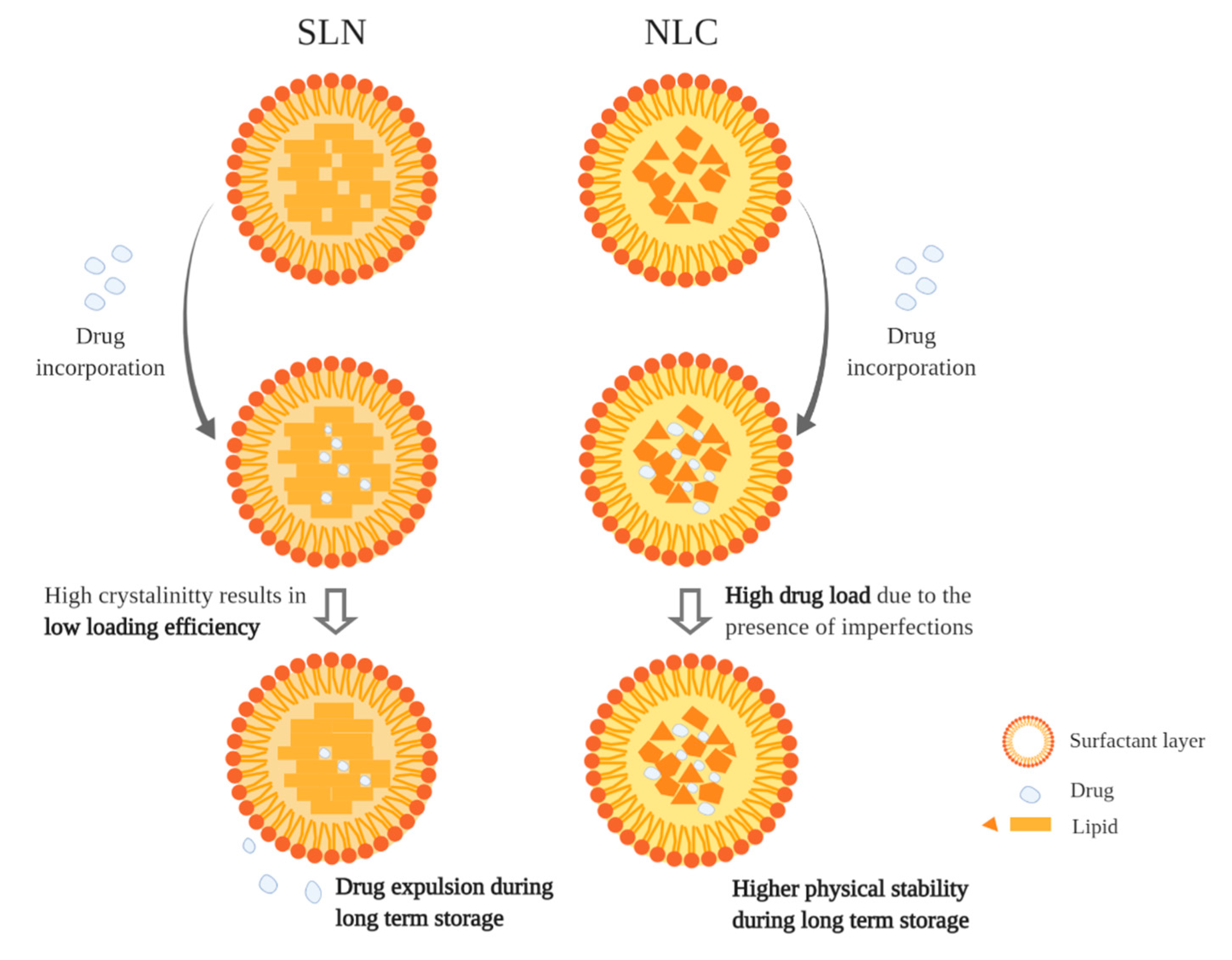 Antioxidants 09 00998 g002