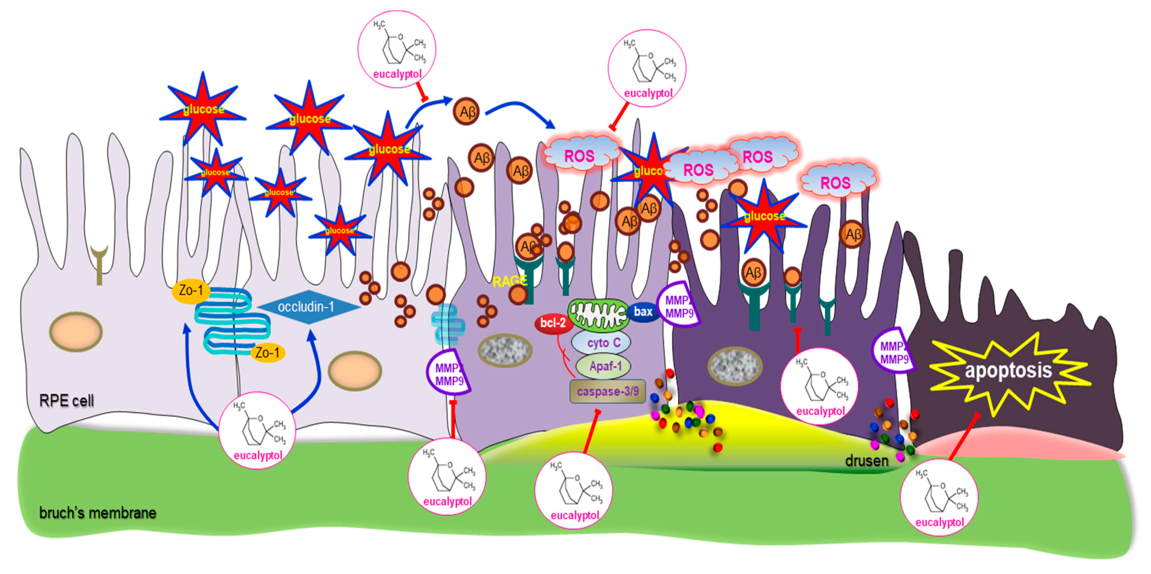 Antioxidants 09 01000 g010