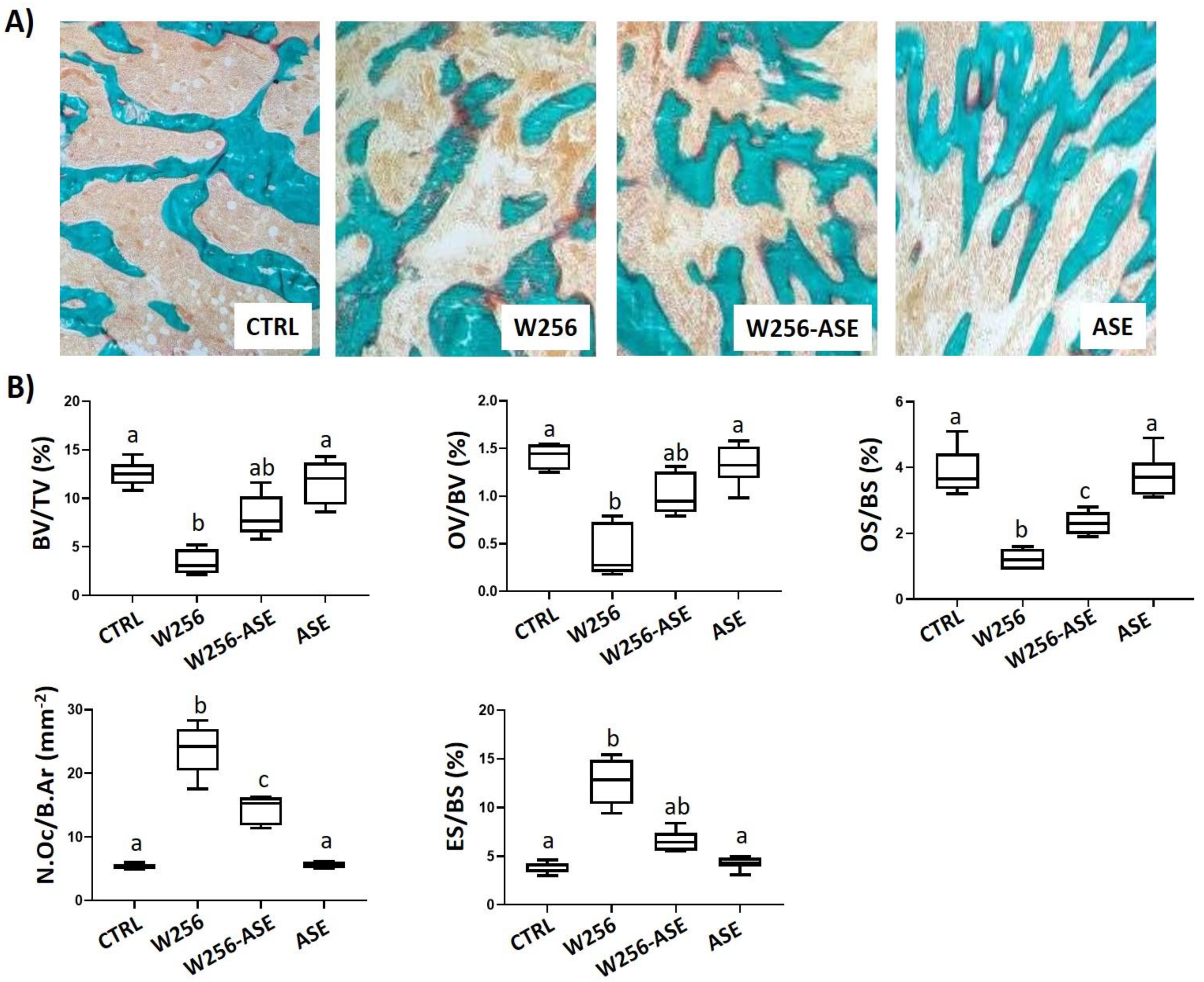 Antioxidants 09 01003 g005