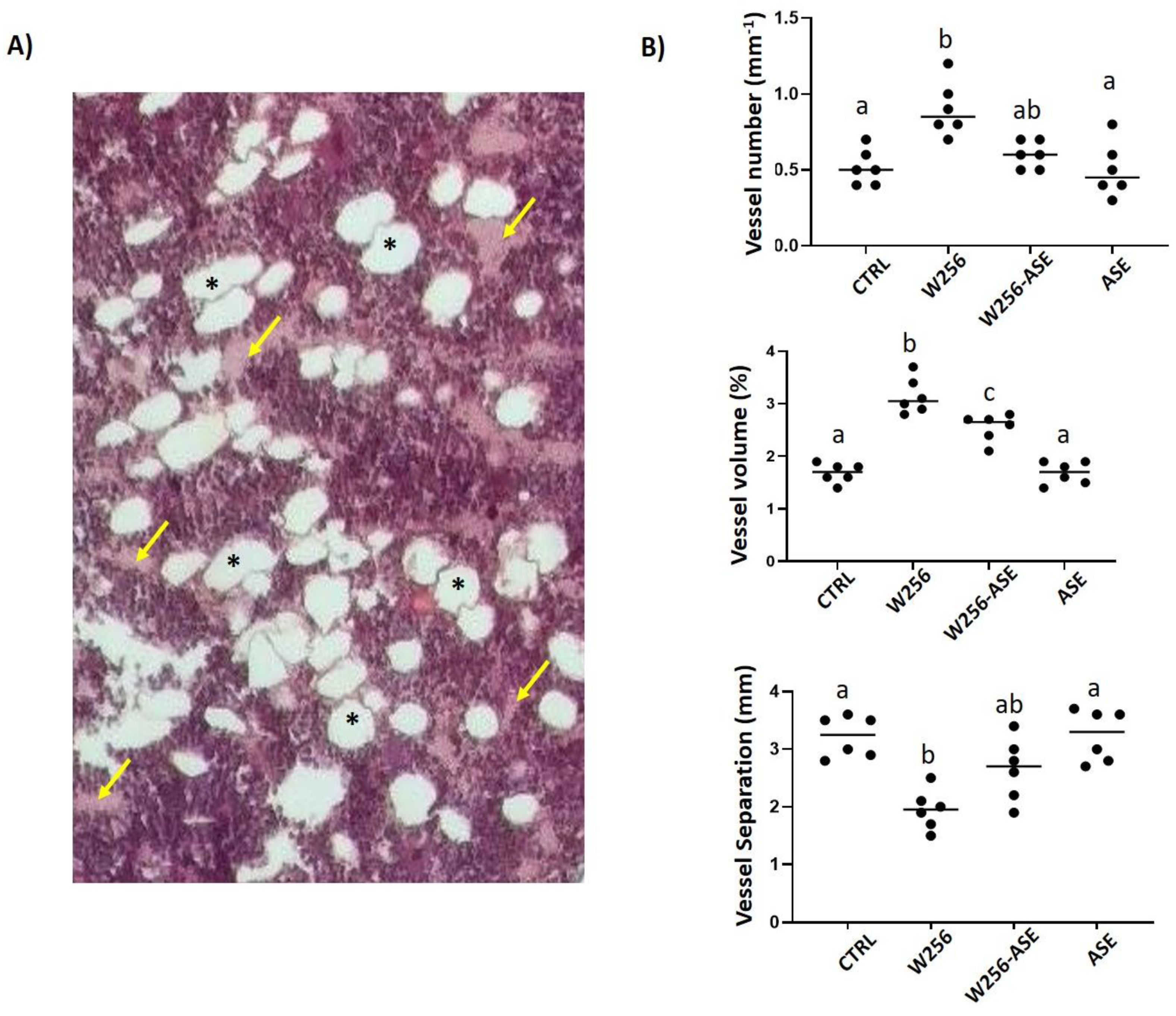 Antioxidants 09 01003 g006