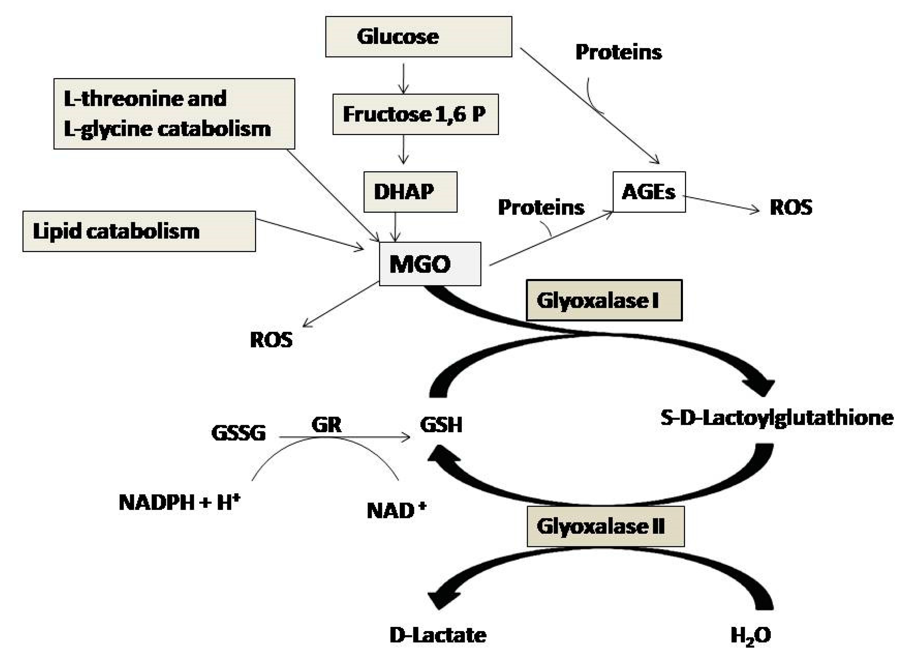 Antioxidants 09 01006 g001