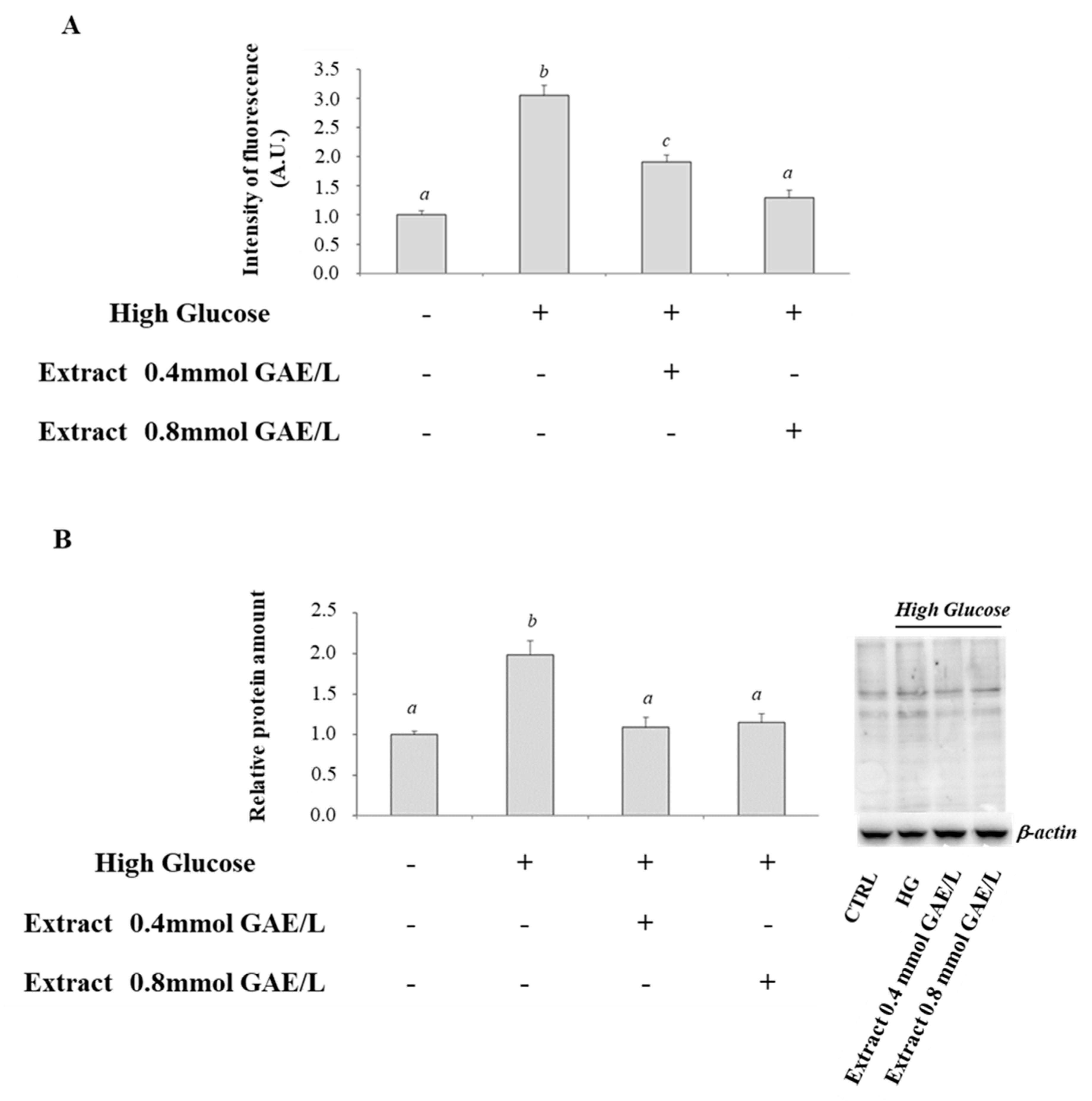 Antioxidants 09 01006 g002