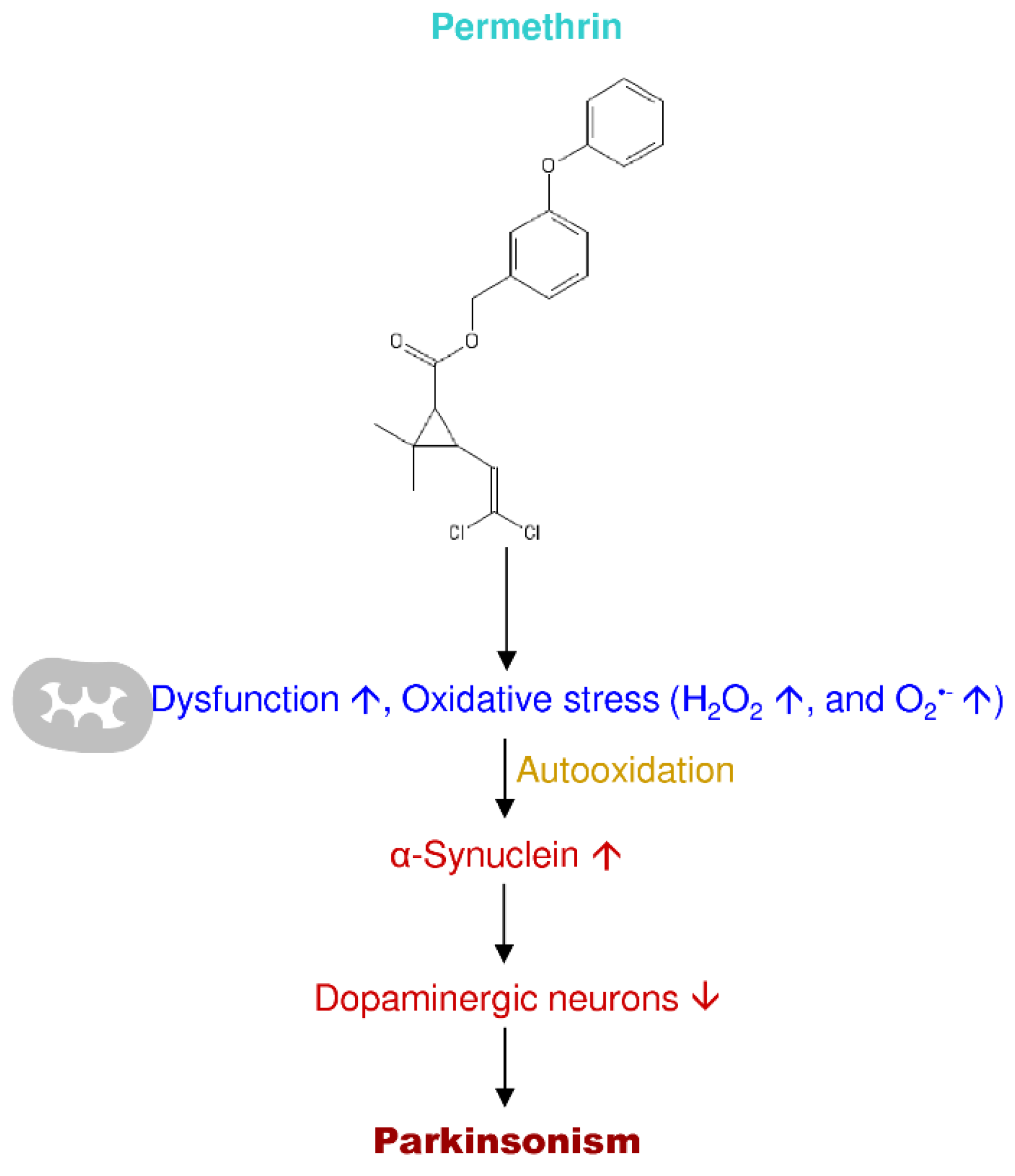 Antioxidants 09 01007 g008
