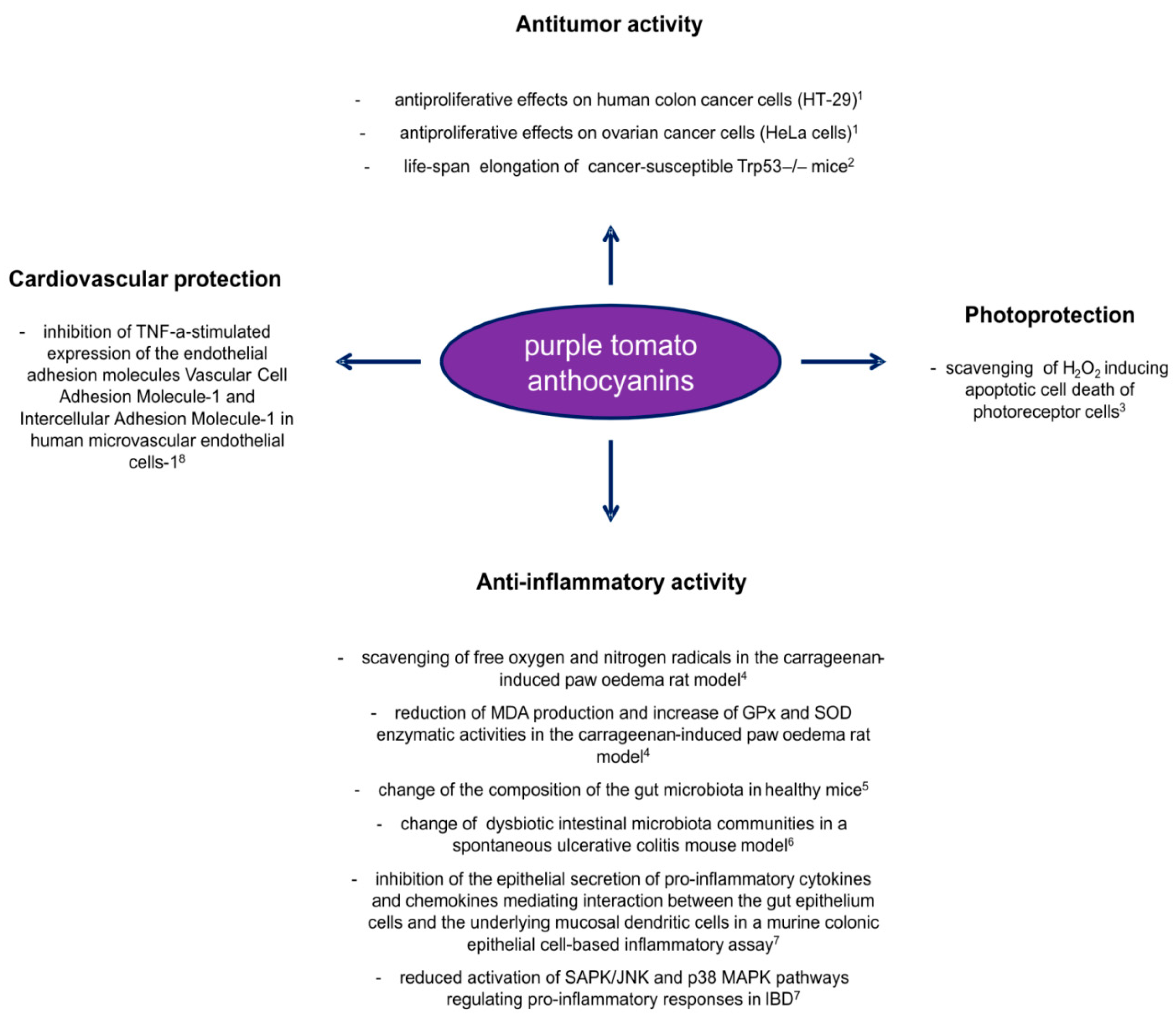 Antioxidants 09 01017 g003