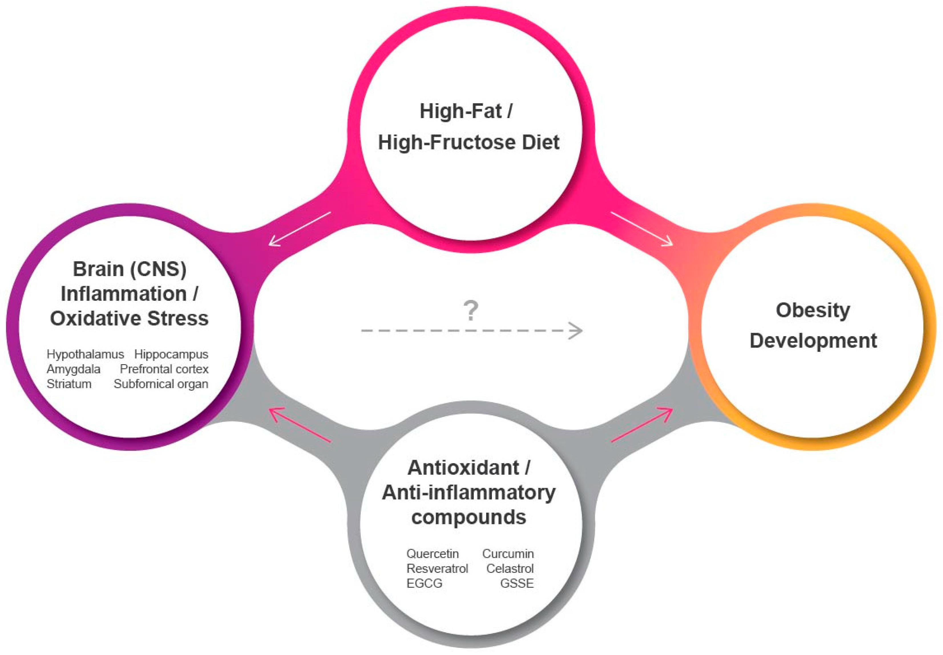 Antioxidants 09 01018 g001