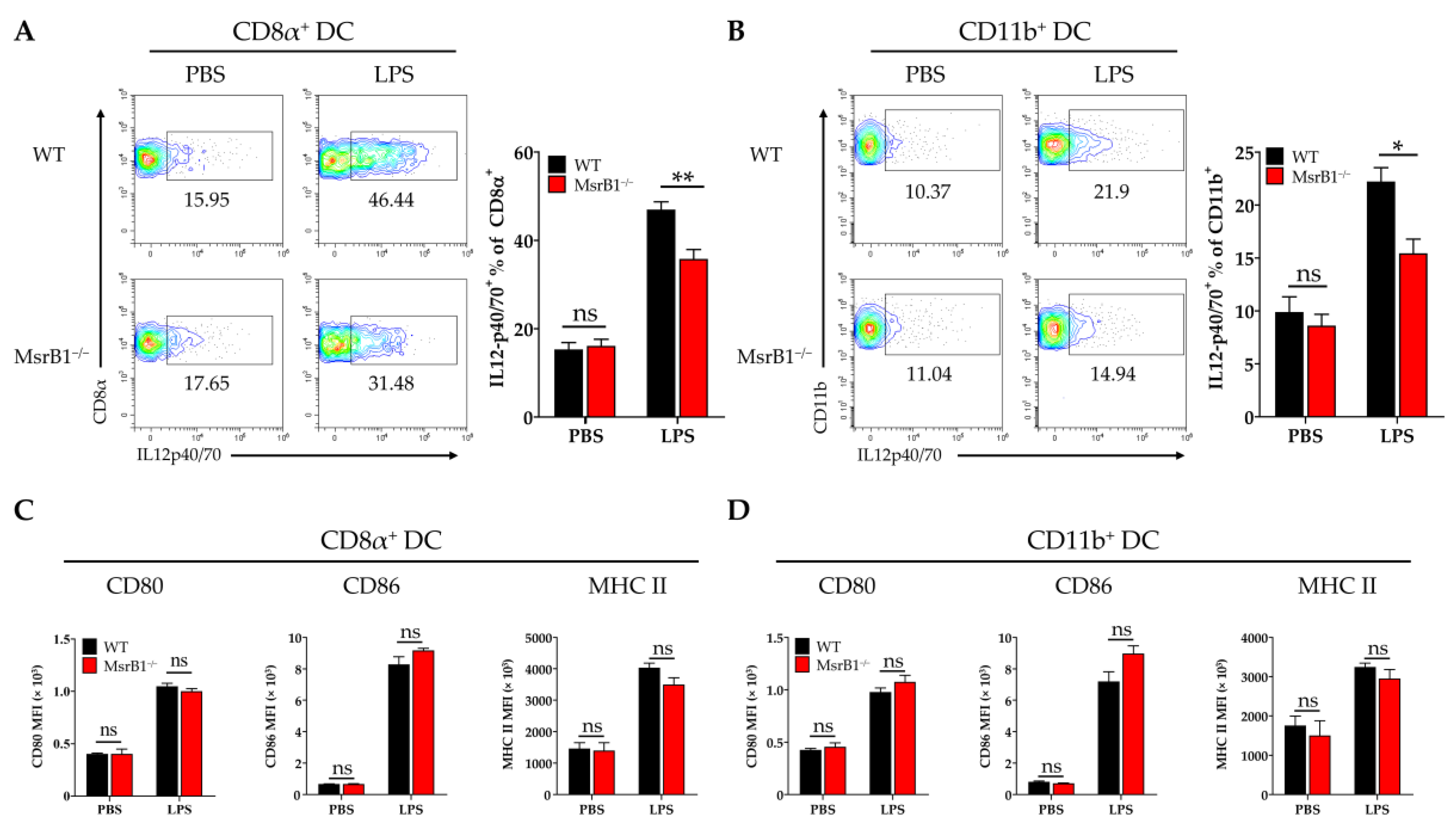 Antioxidants 09 01021 g005