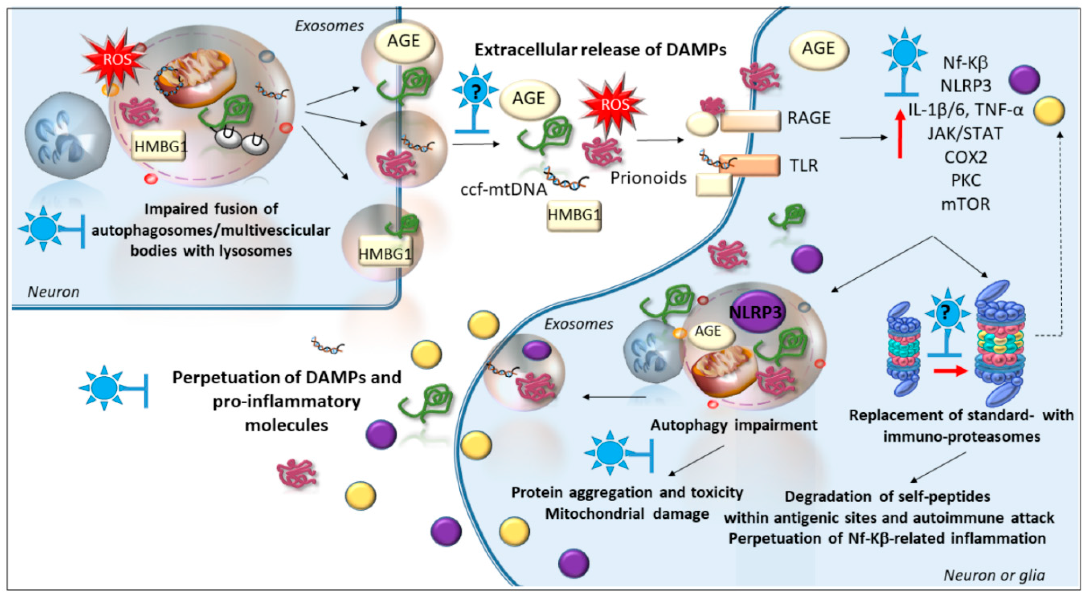 Antioxidants 09 01022 g003